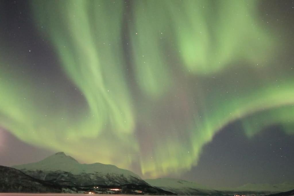 Northern Lights Haven