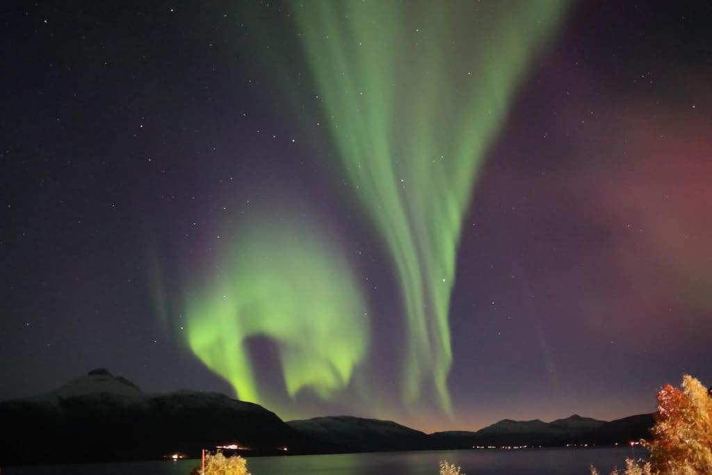 Northern Lights Haven