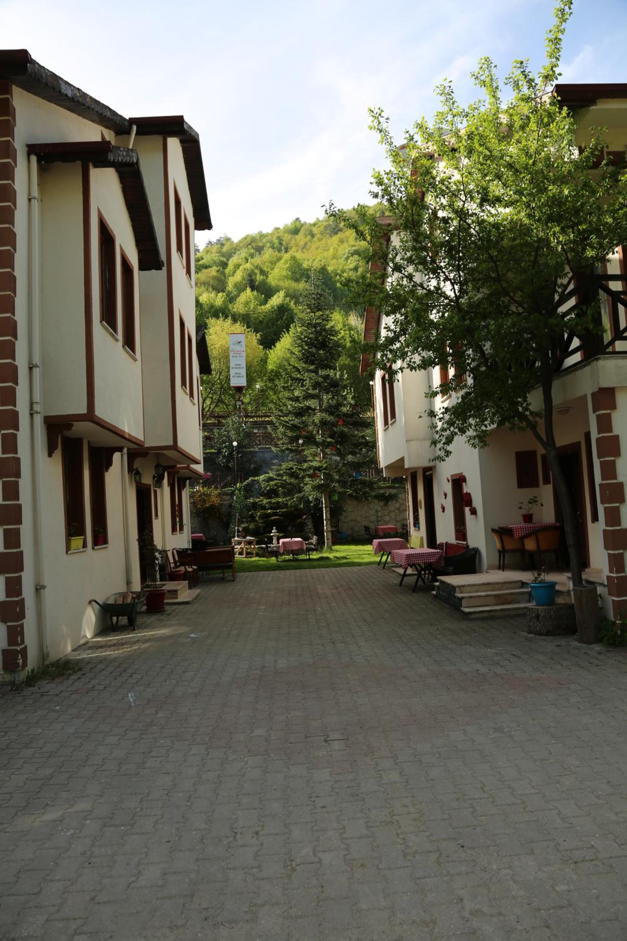 Photo 37