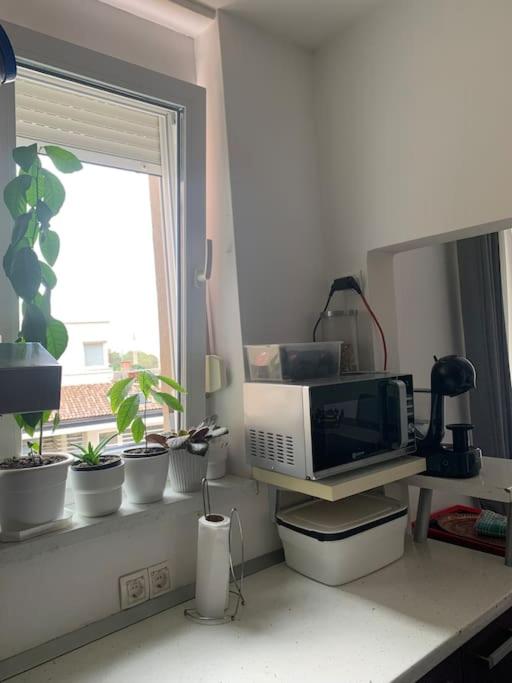 Austrogarski Apartman Tamariz Sarajevo