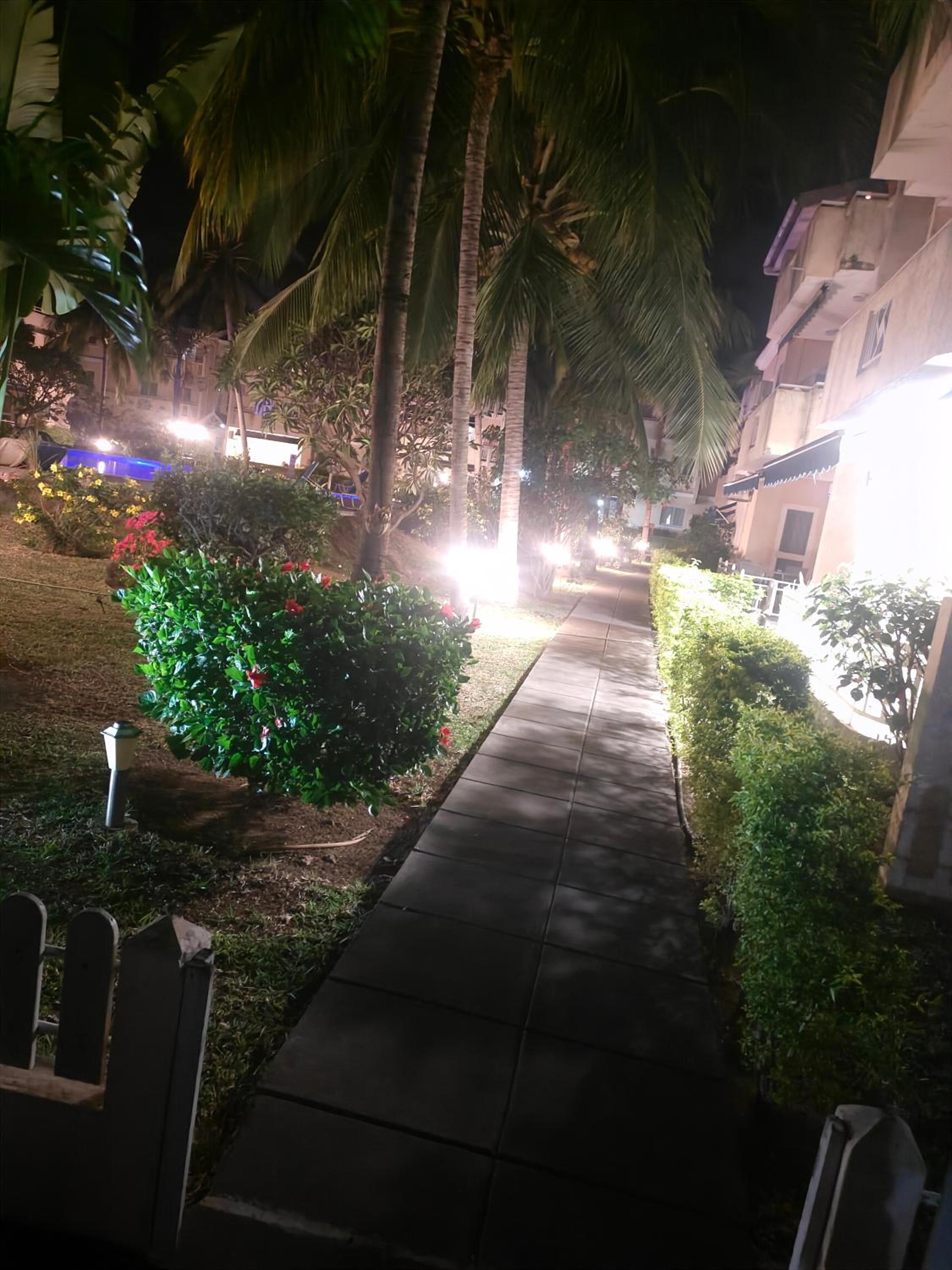 Residence Le Dattier - Flic En Flac view 5