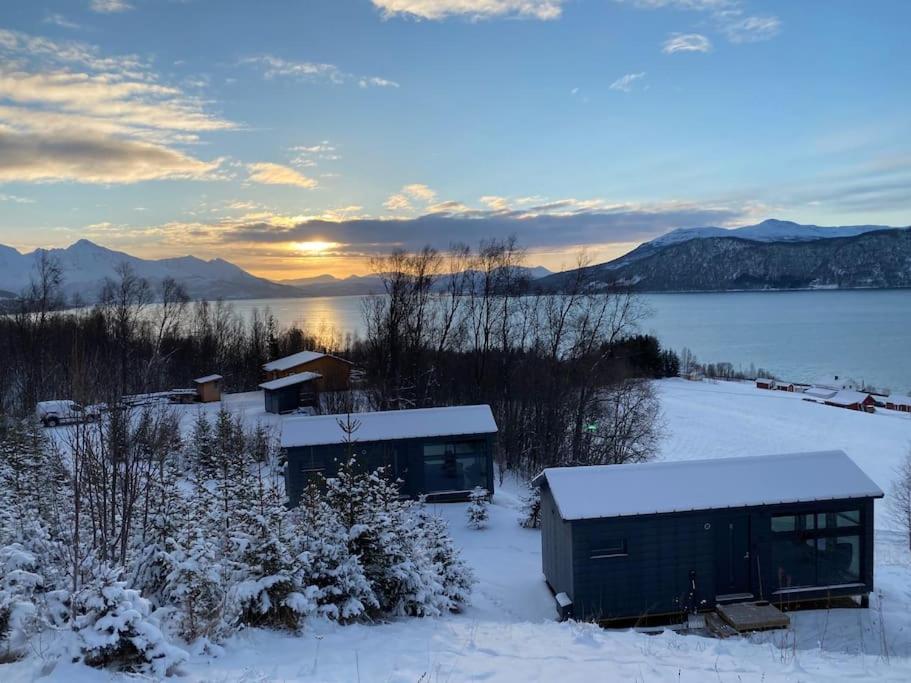 Arctic Sky Sanctuary