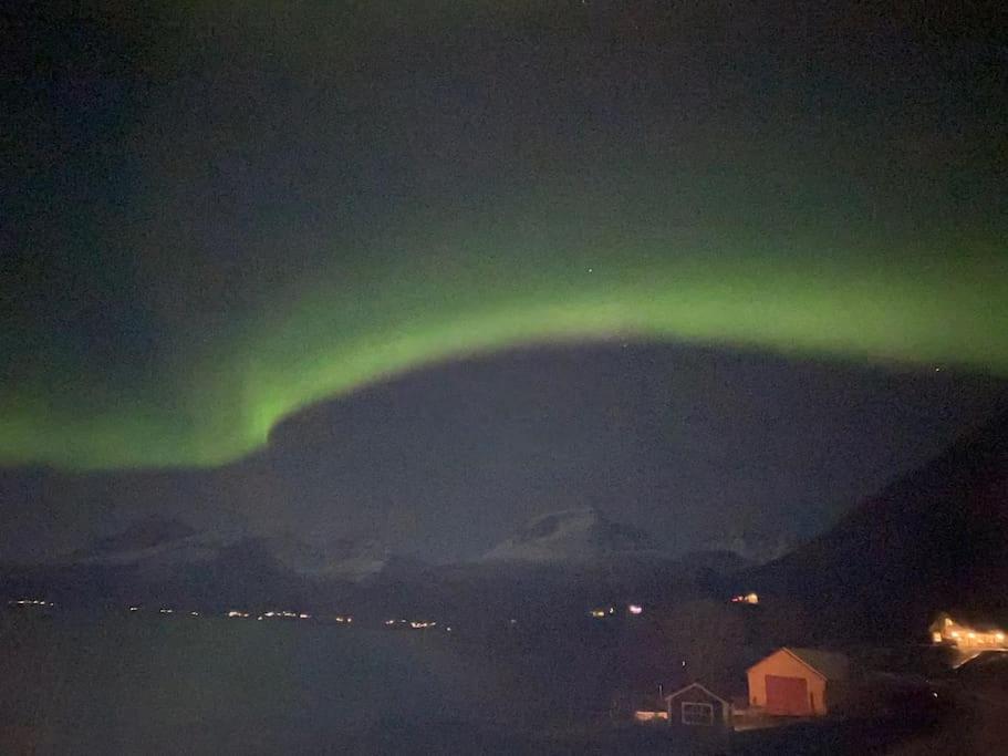 Arctic Sky Sanctuary