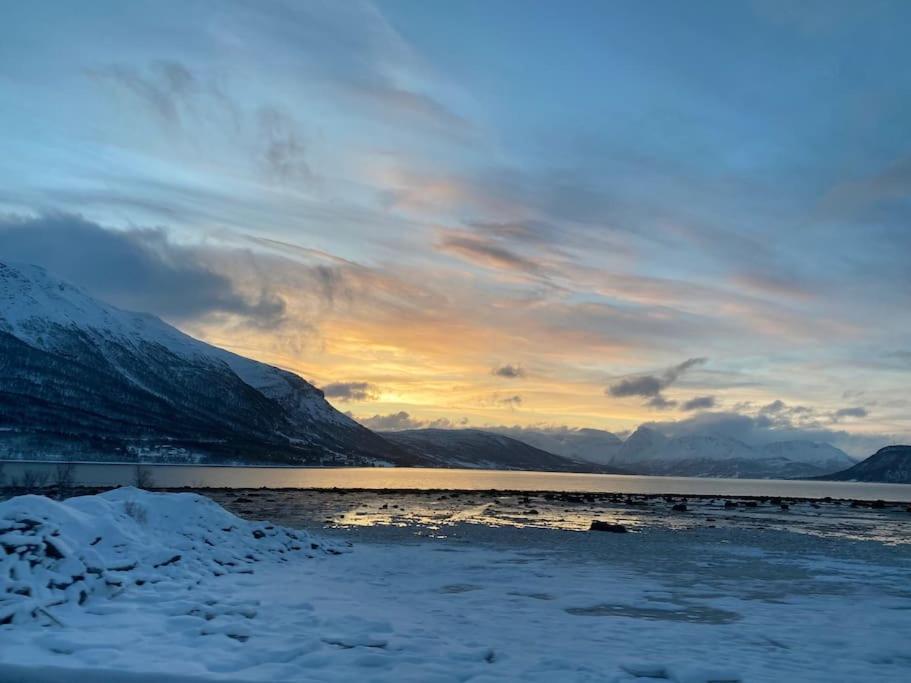 Arctic Sky Sanctuary