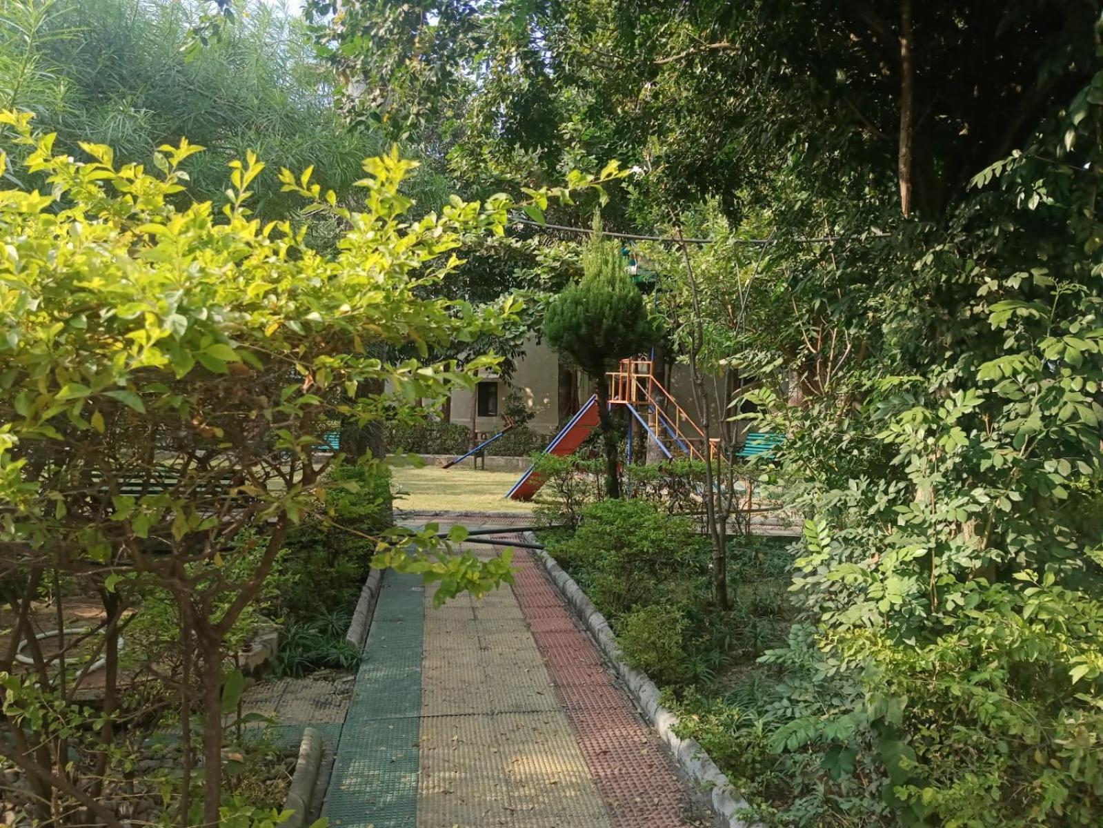 Masoom's Homestay view 2