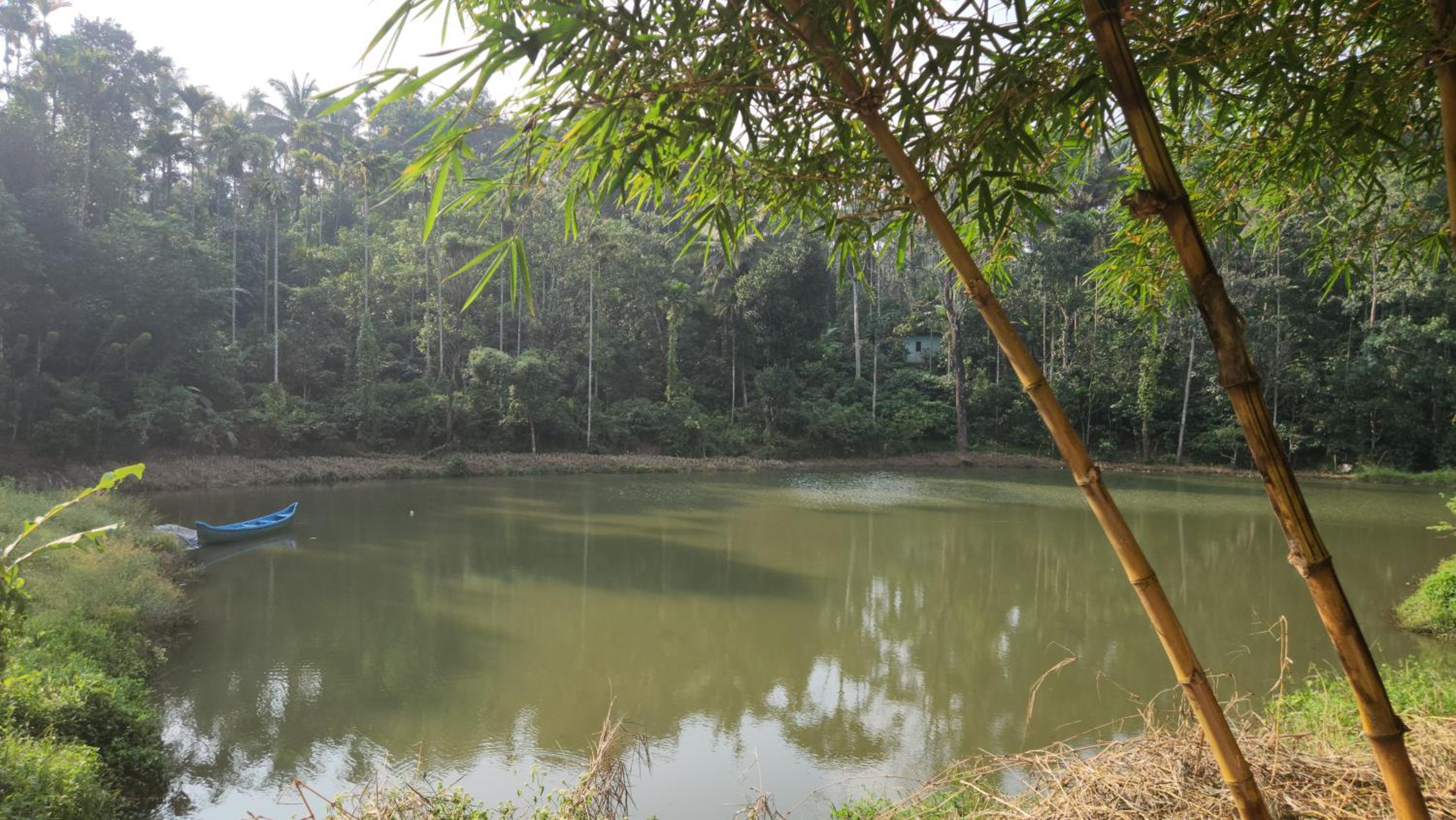 One Love Banasura Farm Resort view 3
