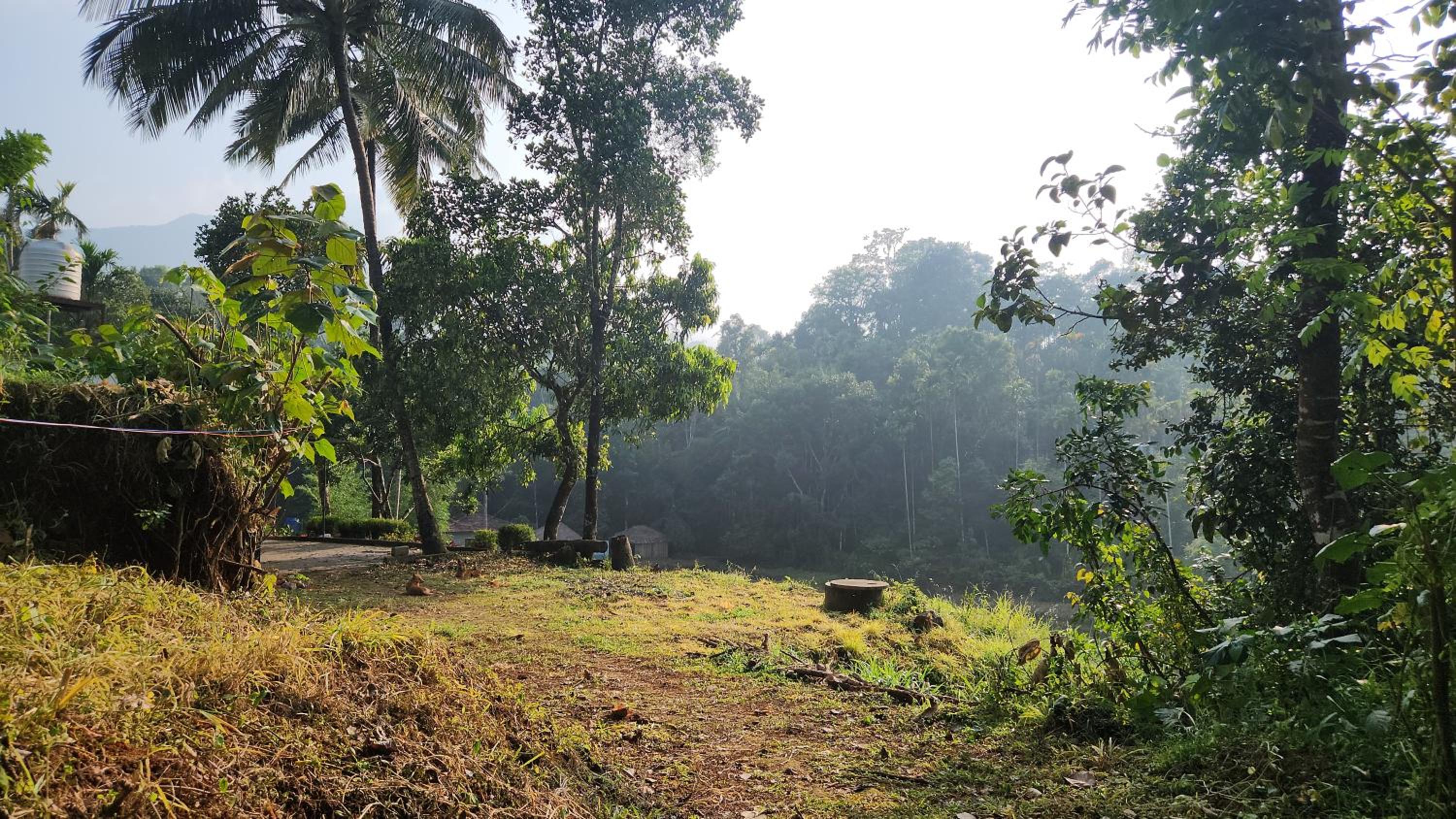 One Love Banasura Farm Resort view 4