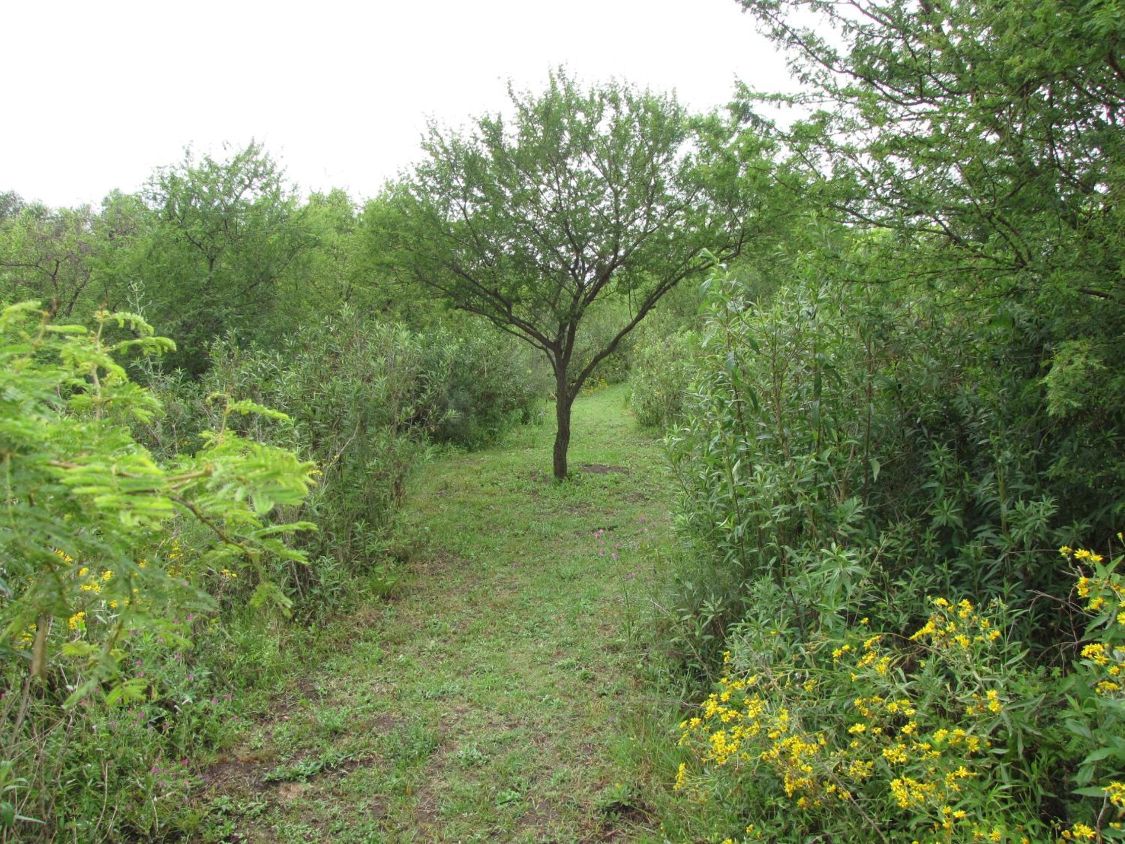 La Trinidad Casa de Campo