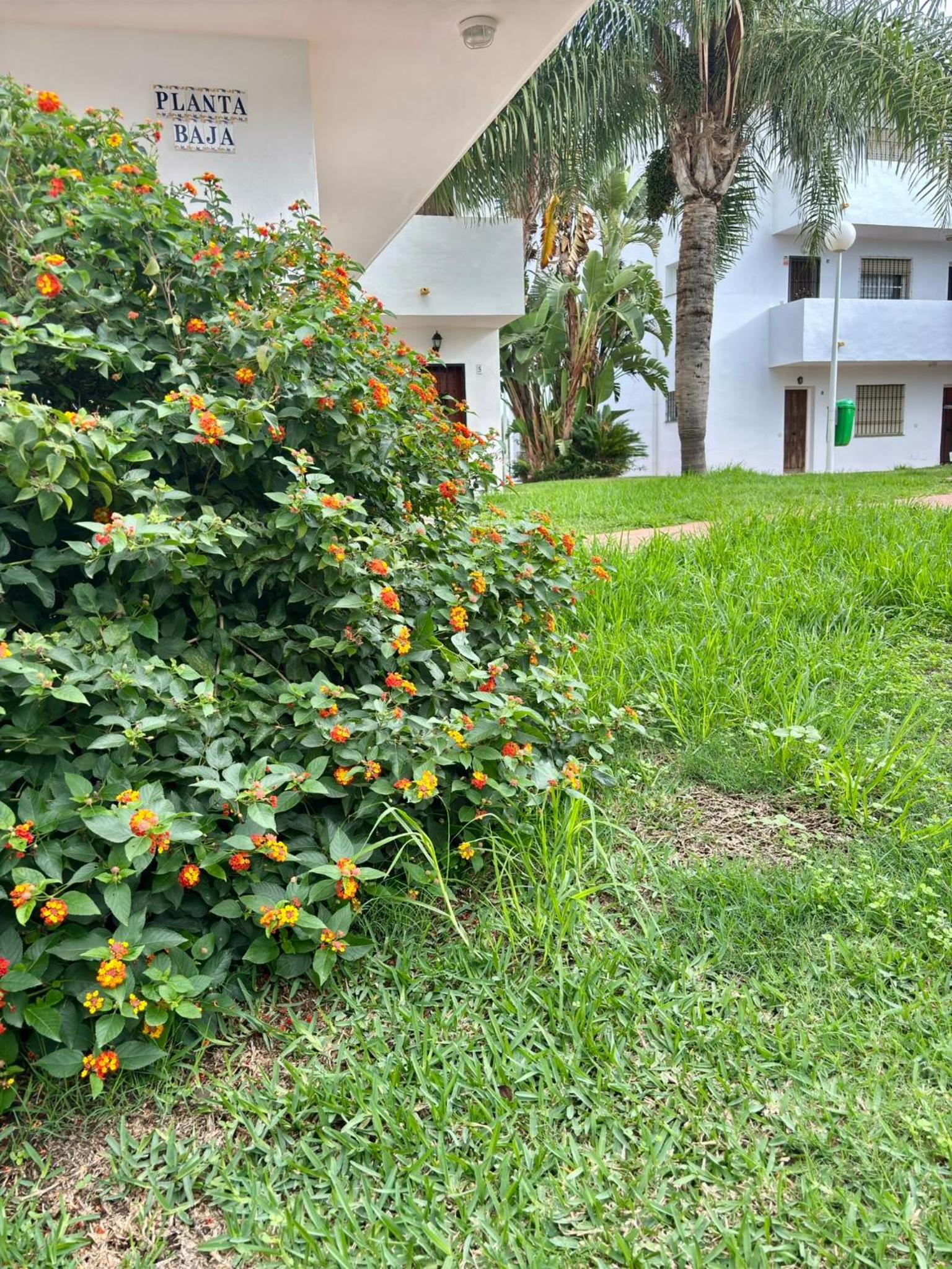 Apartamento Luz de Buda