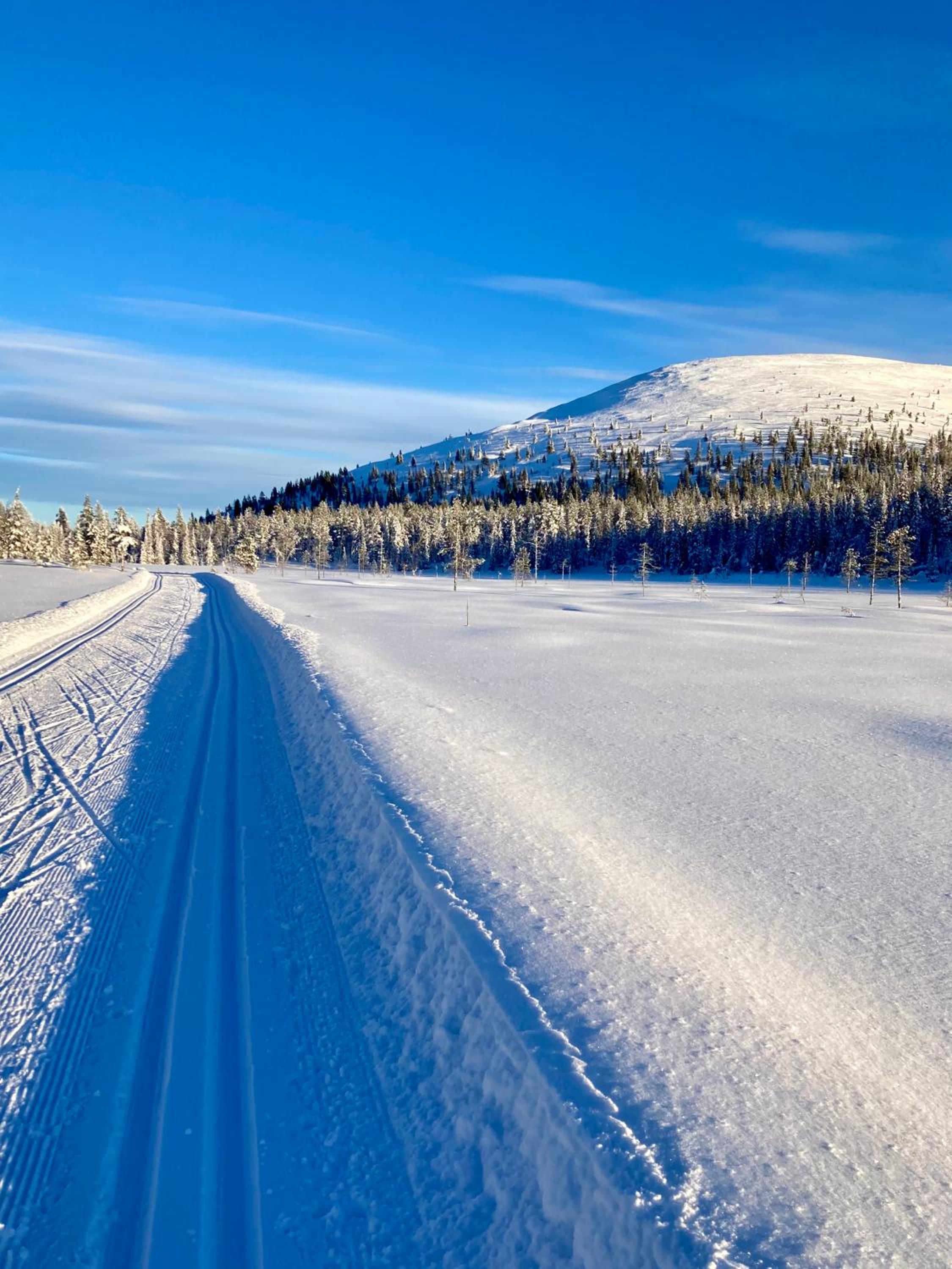 Hippu Holiday Home in peaceful location near Äkäslompolo