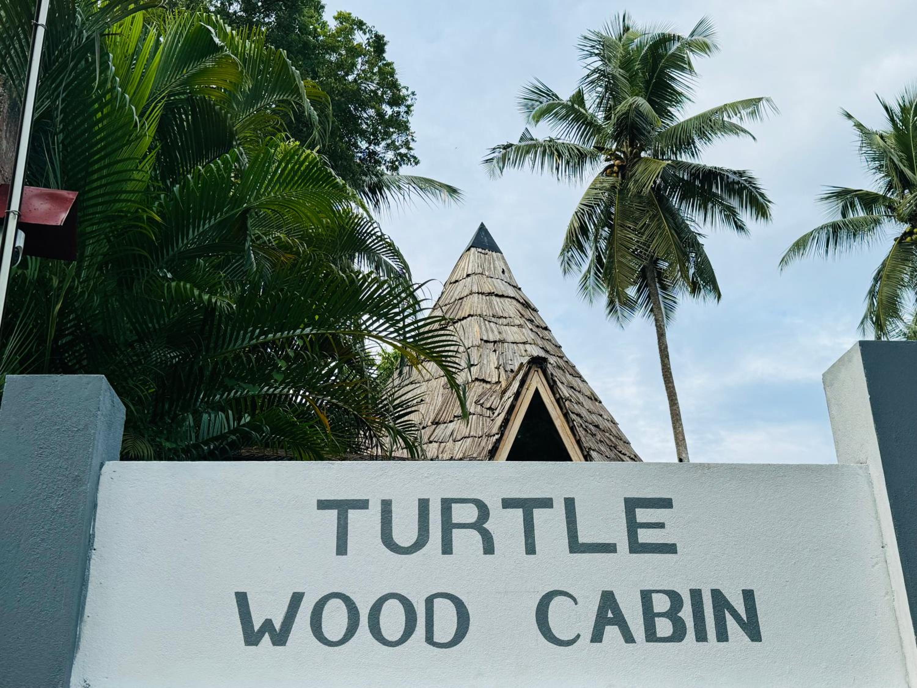 Turtle Wood Cabin view 2