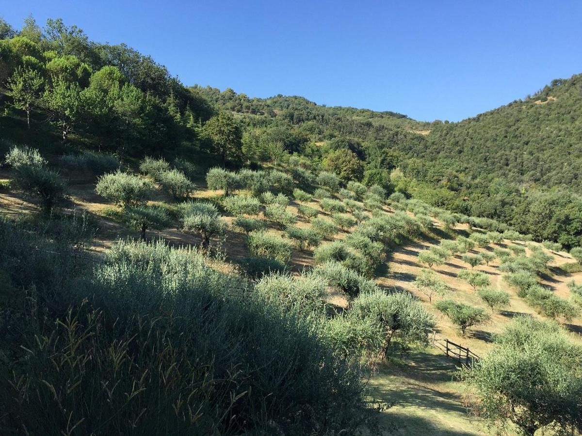 Agriturismo La Fonte view 5