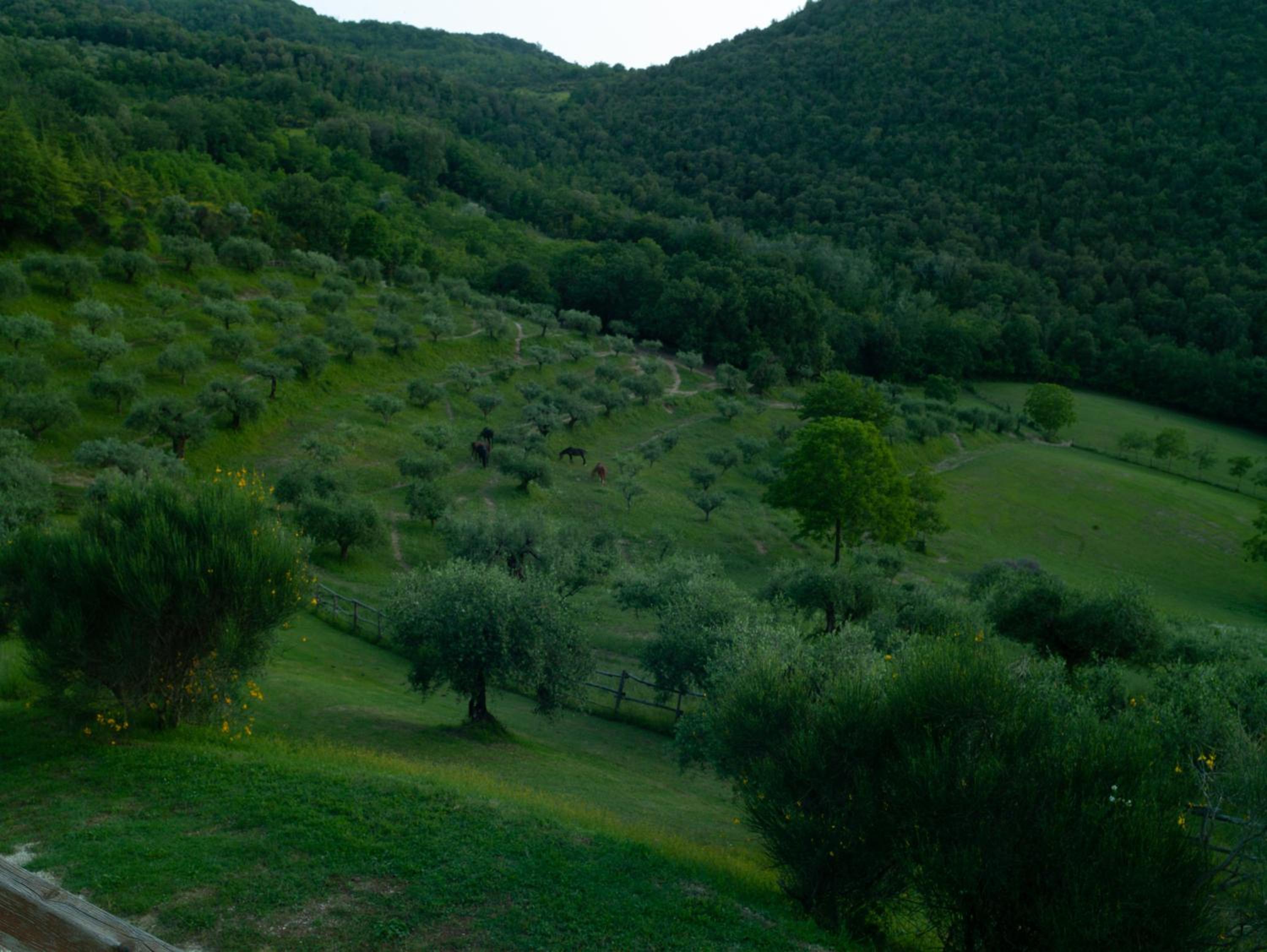 Agriturismo La Fonte view 4