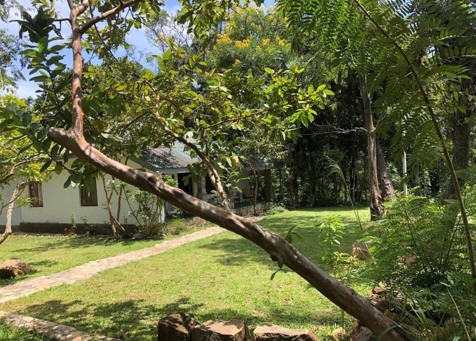Koshi's Country Cottage Ella view 2
