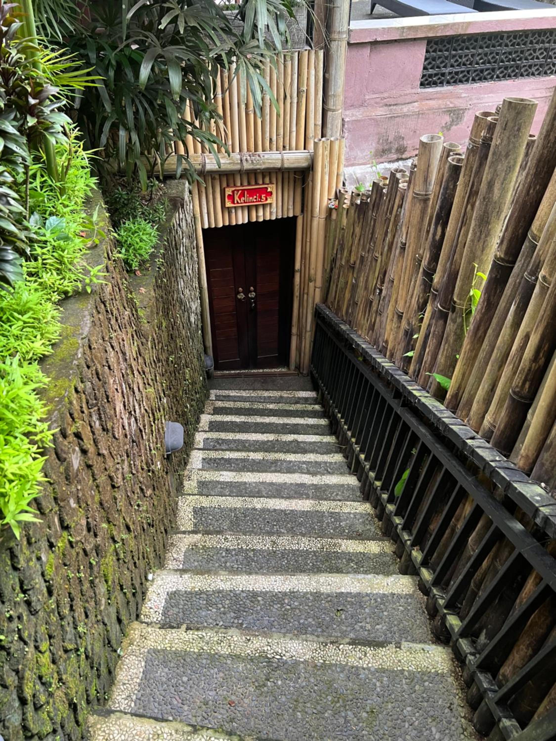 Photo 42