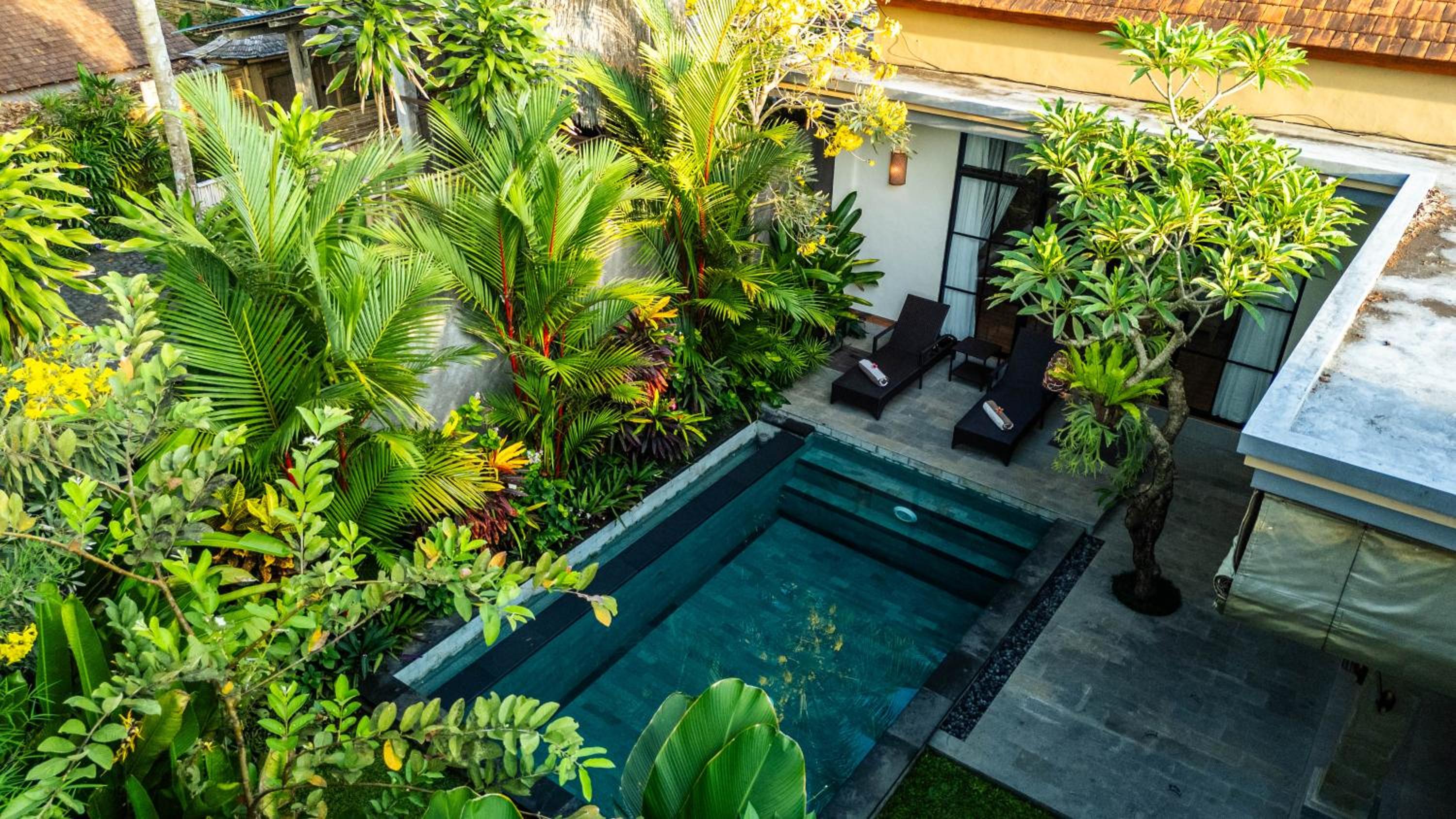 Photo 112