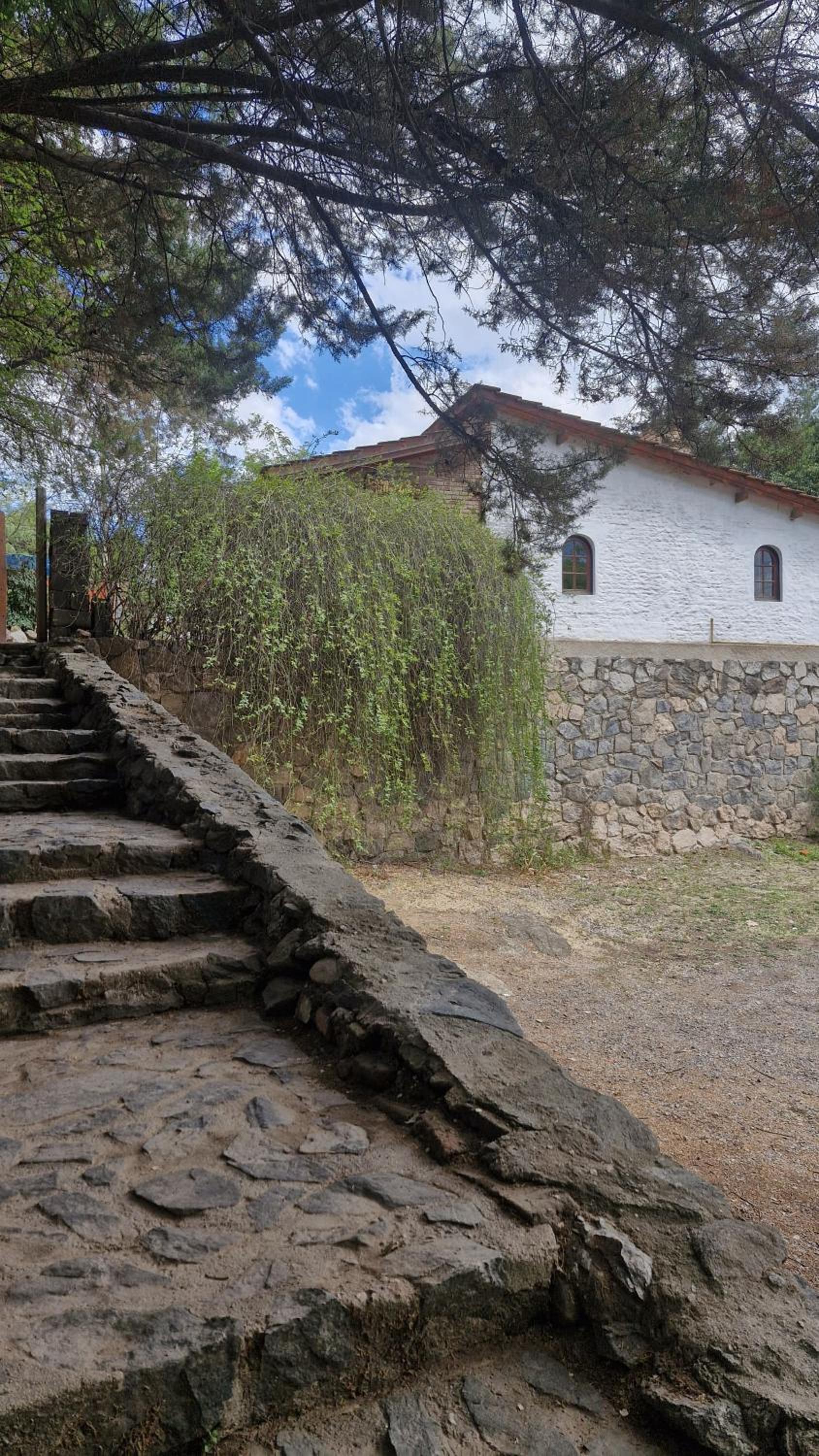 Lucía Haus
