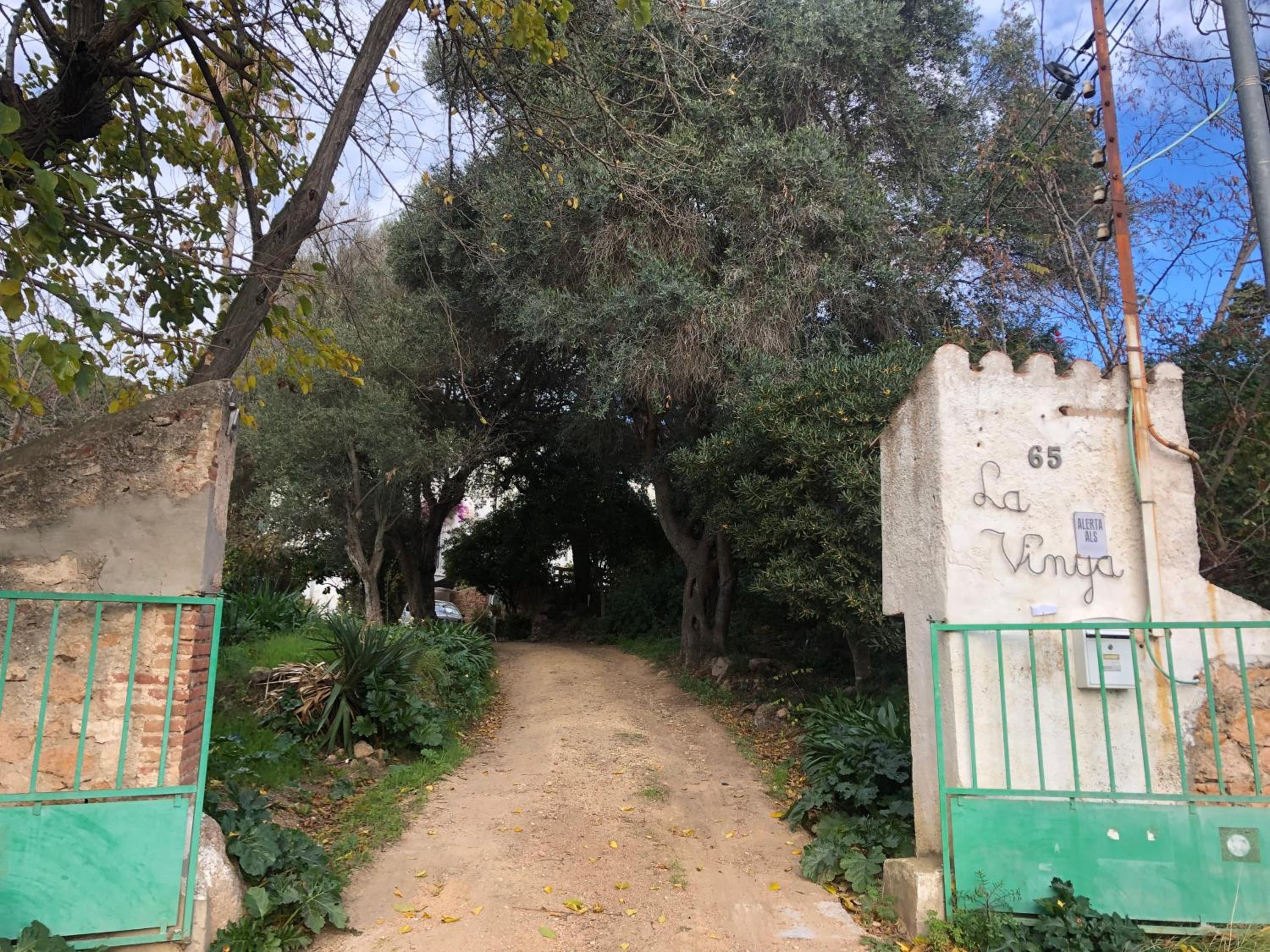 La vinya