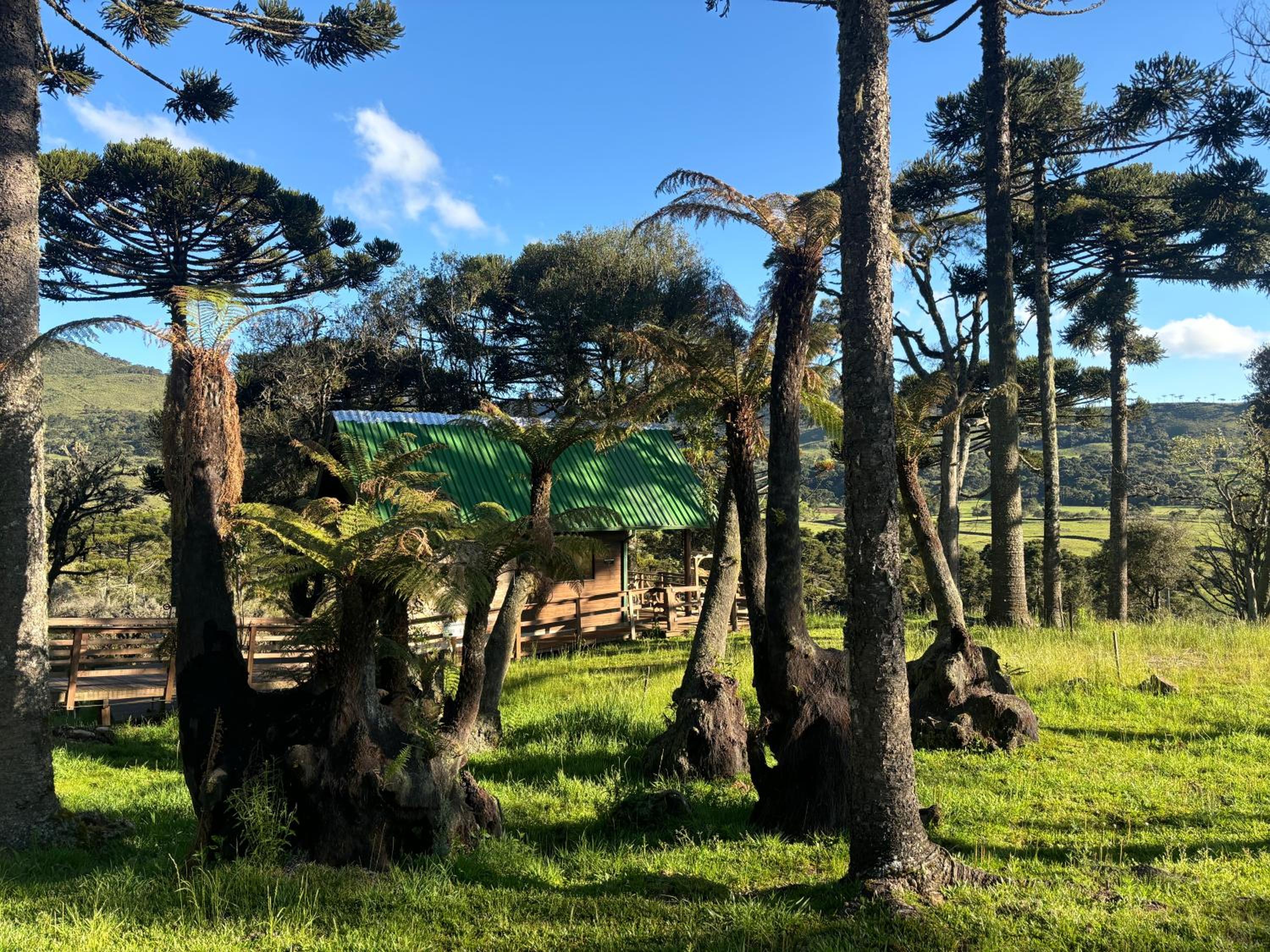 Casas Rainha da Serra - Cozinha, Fogo de Chão e Churrasqueira