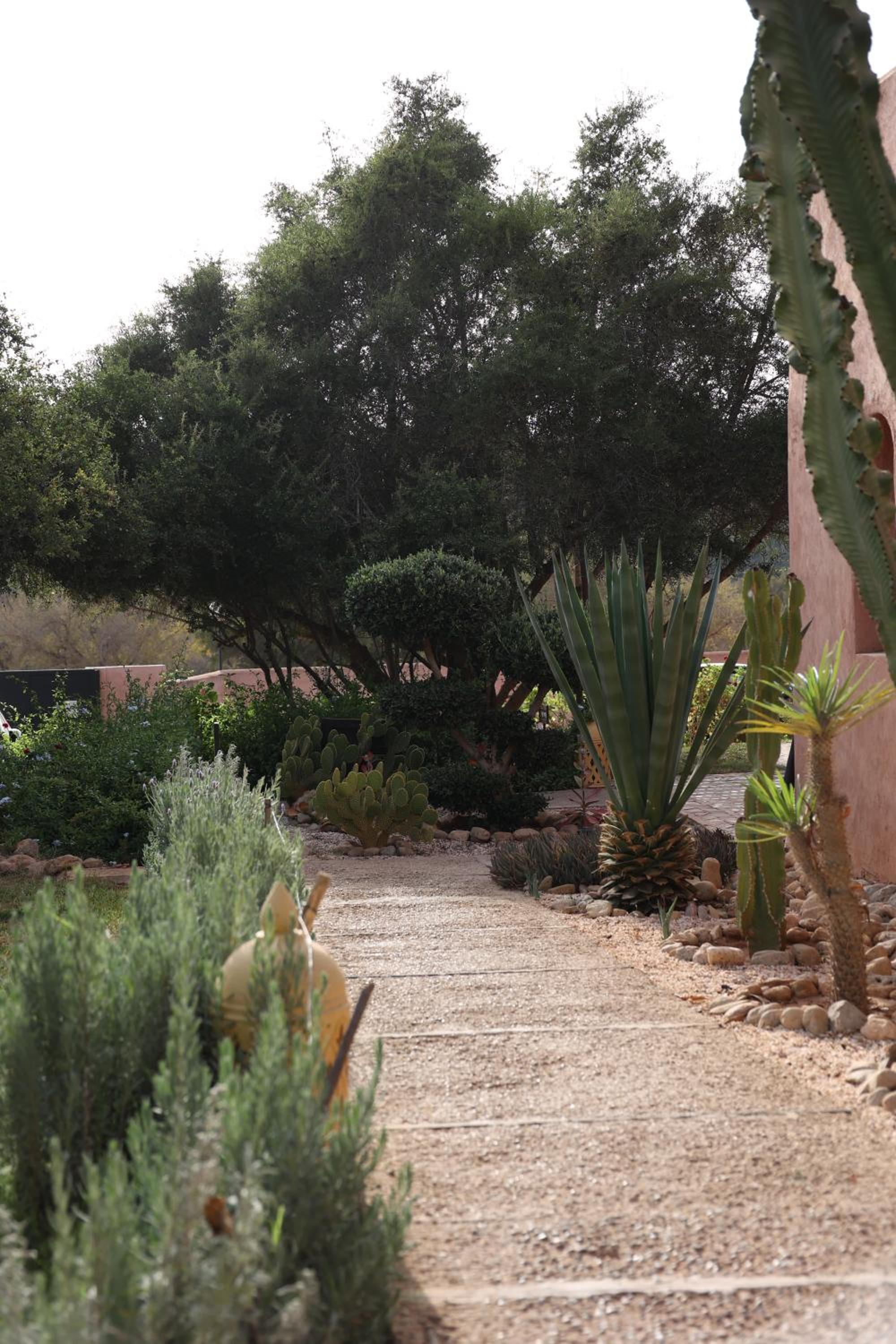 Paradis Nomade