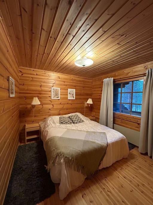 Peaceful Cabin Near Skiing Routes!
