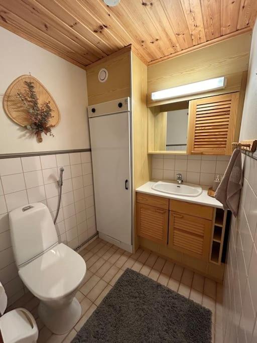 Peaceful Cabin Near Skiing Routes!