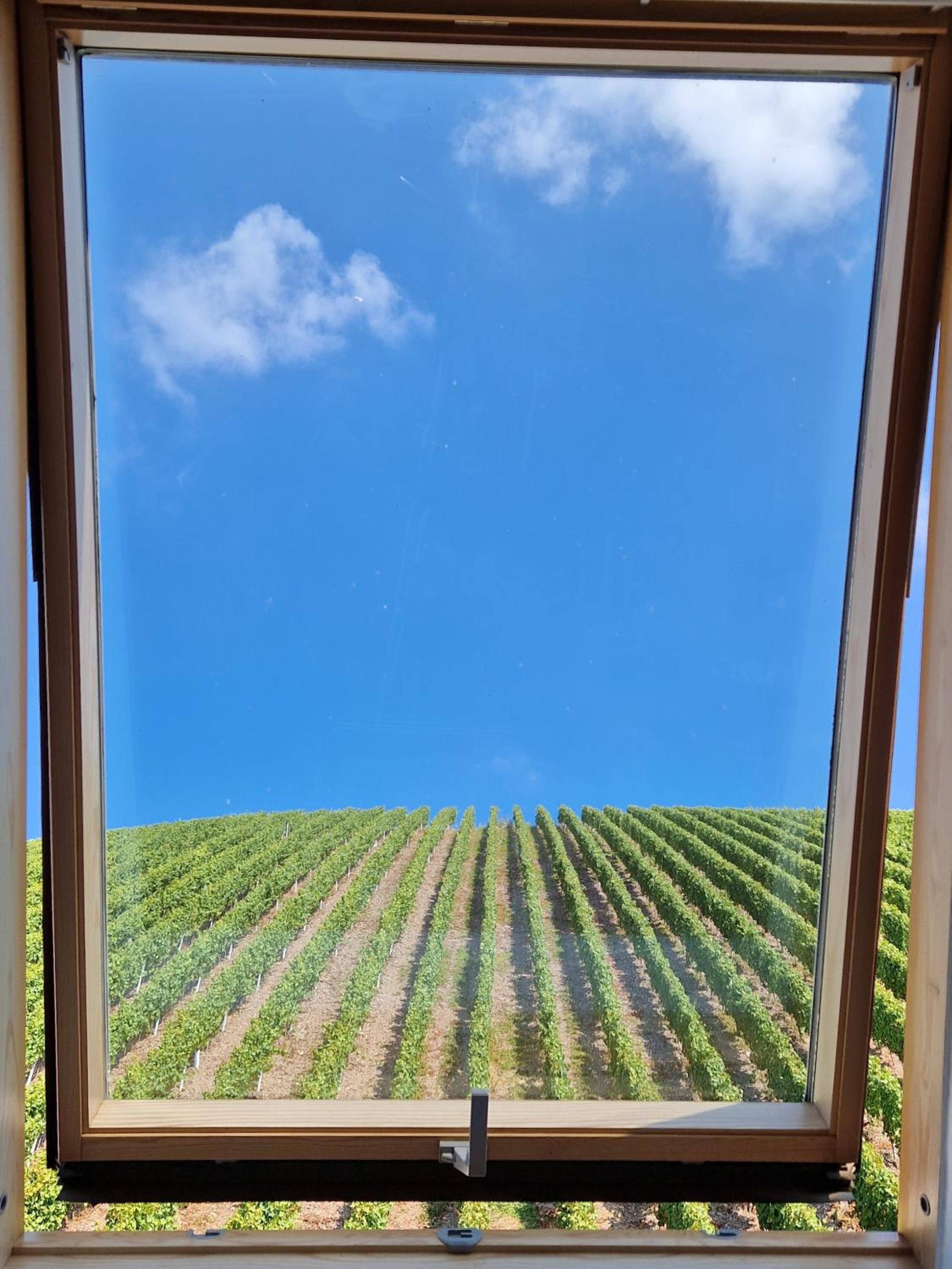 Antikes Haus an der Mosel