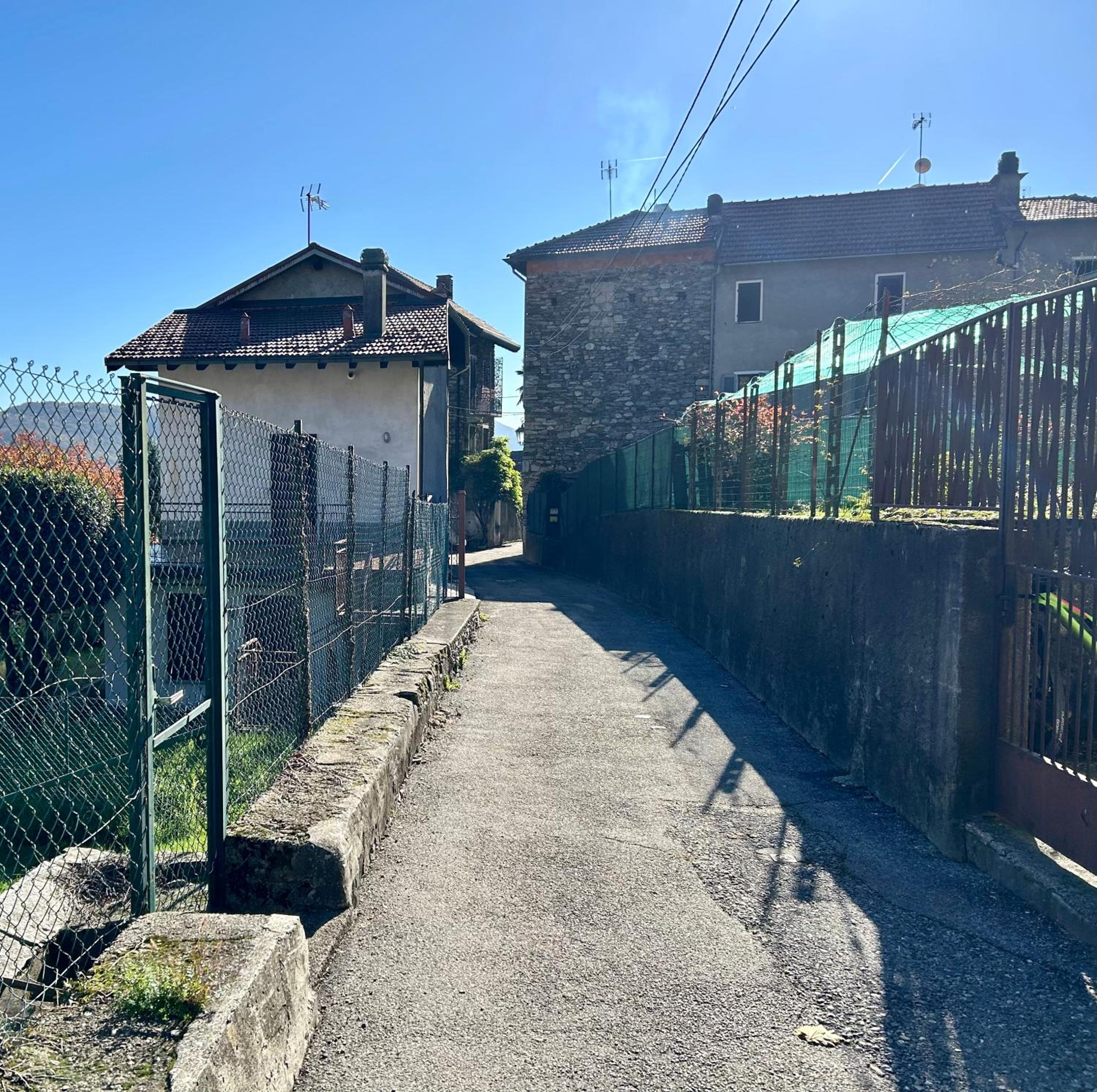 Il GLICINE