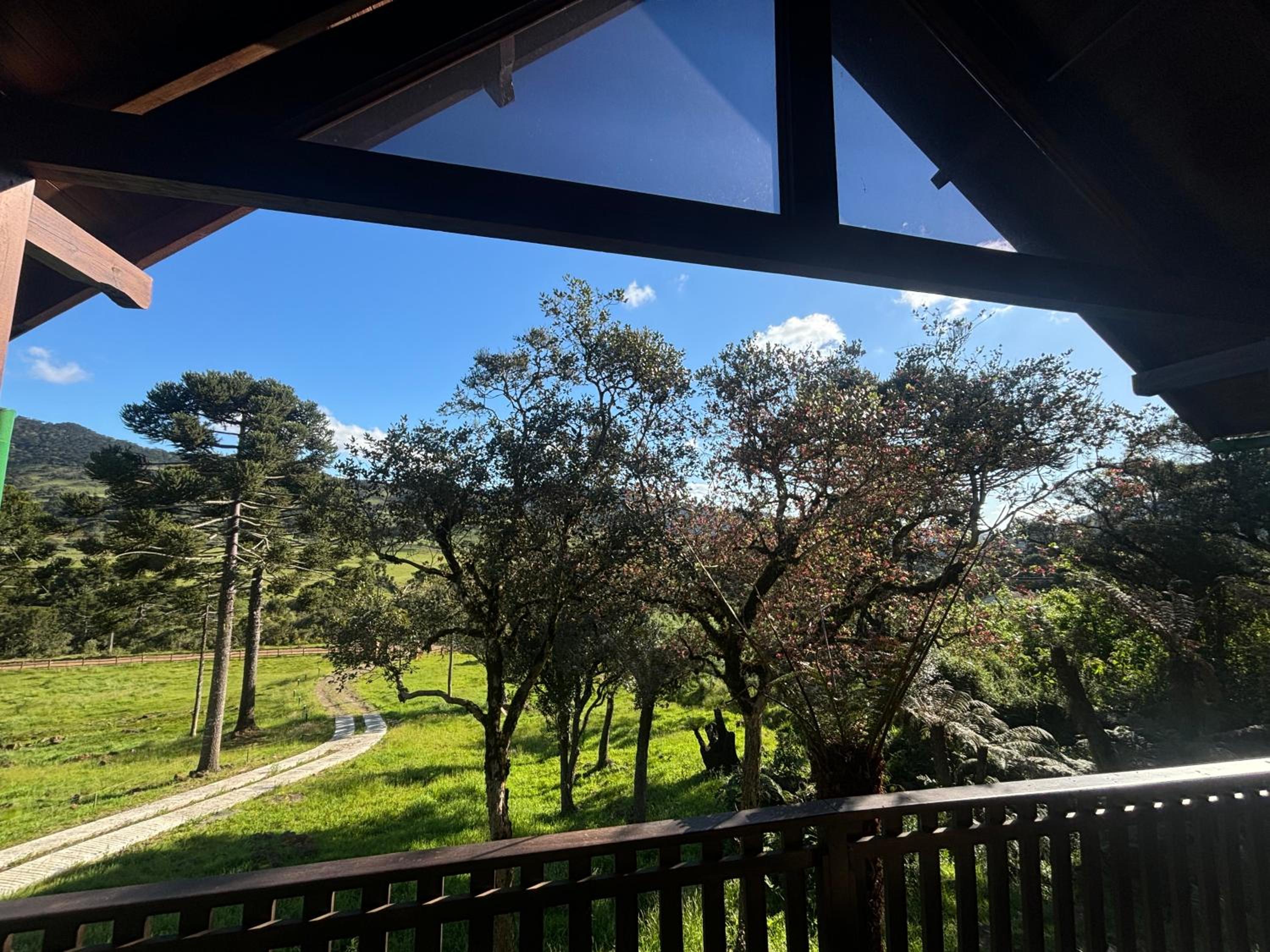 Casas Rainha da Serra - Cozinha, Fogo de Chão e Churrasqueira