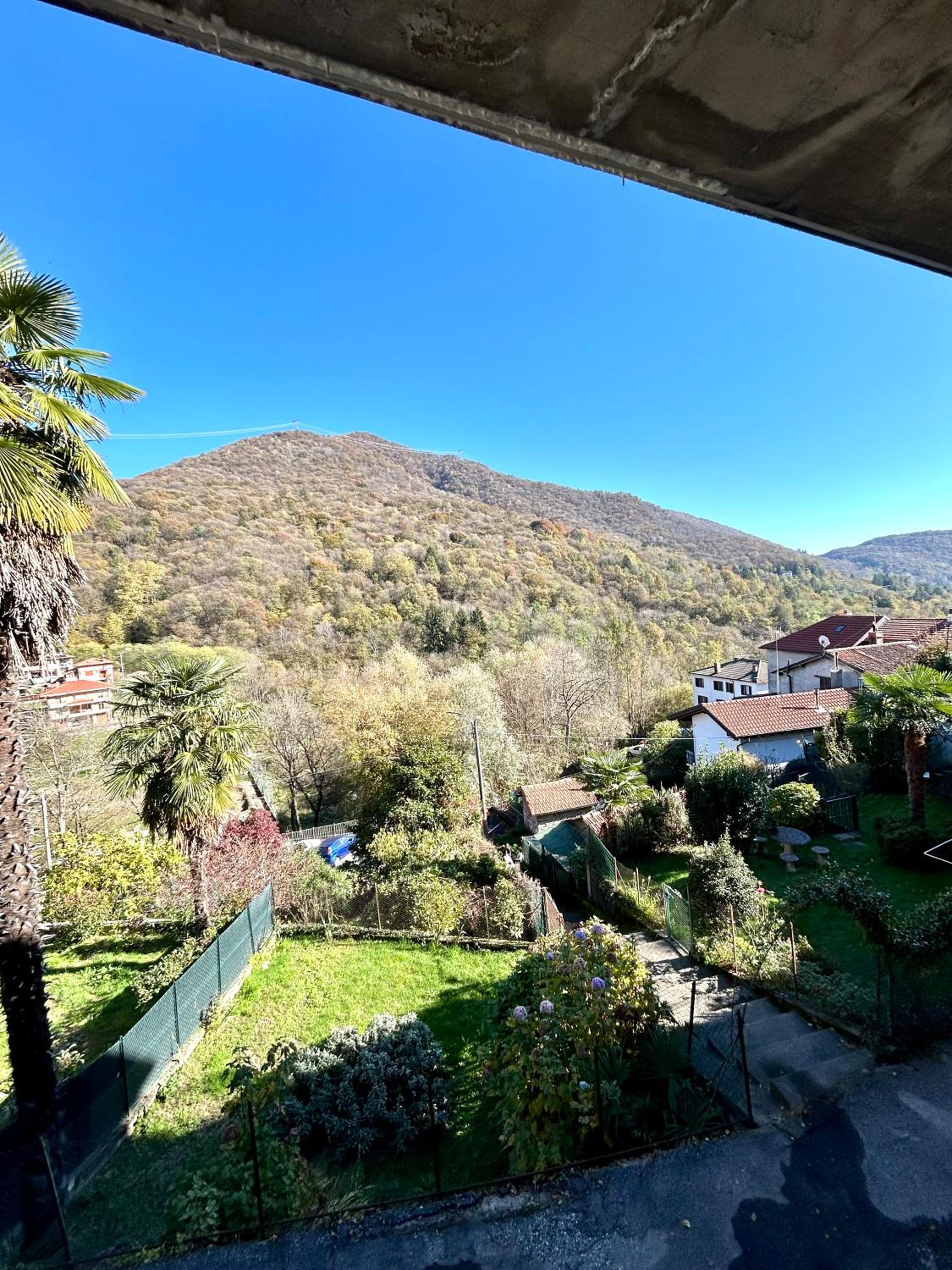 Il GLICINE