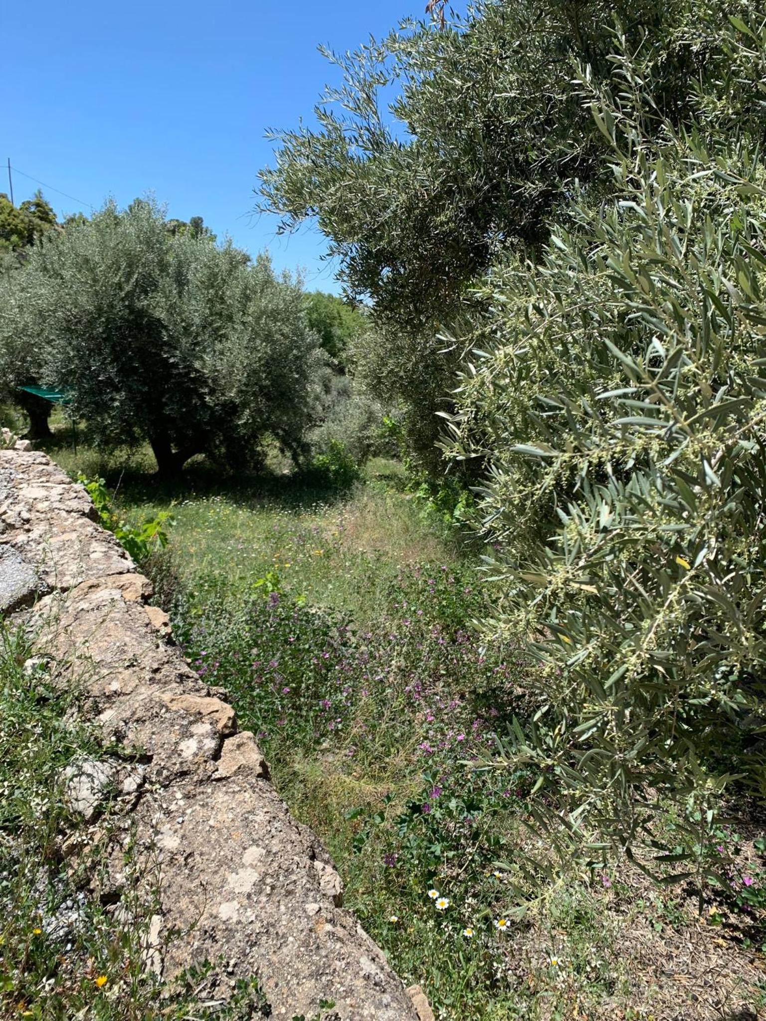 Casa Jaïra Sierra de Castril