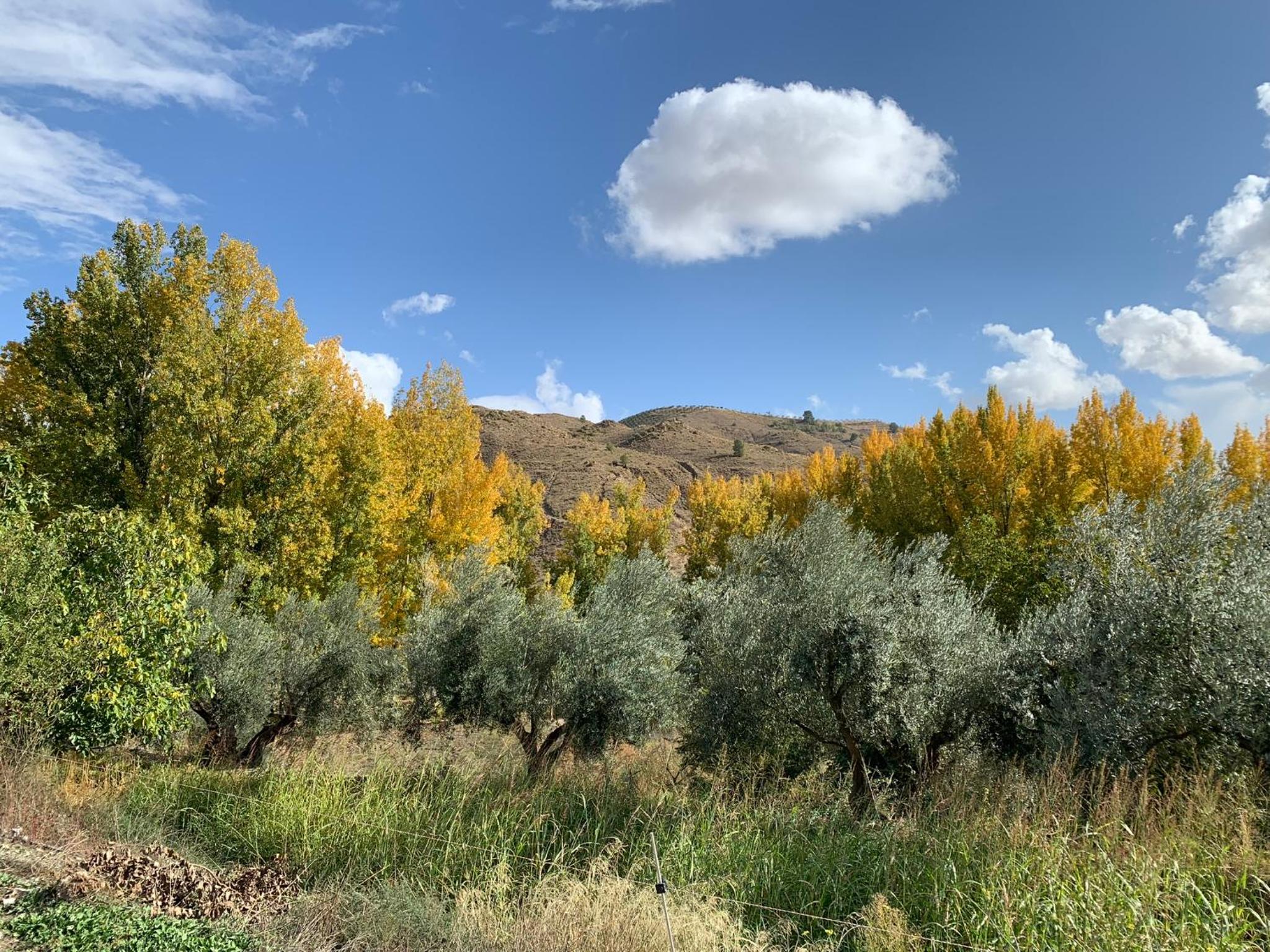Casa Jaïra Sierra de Castril