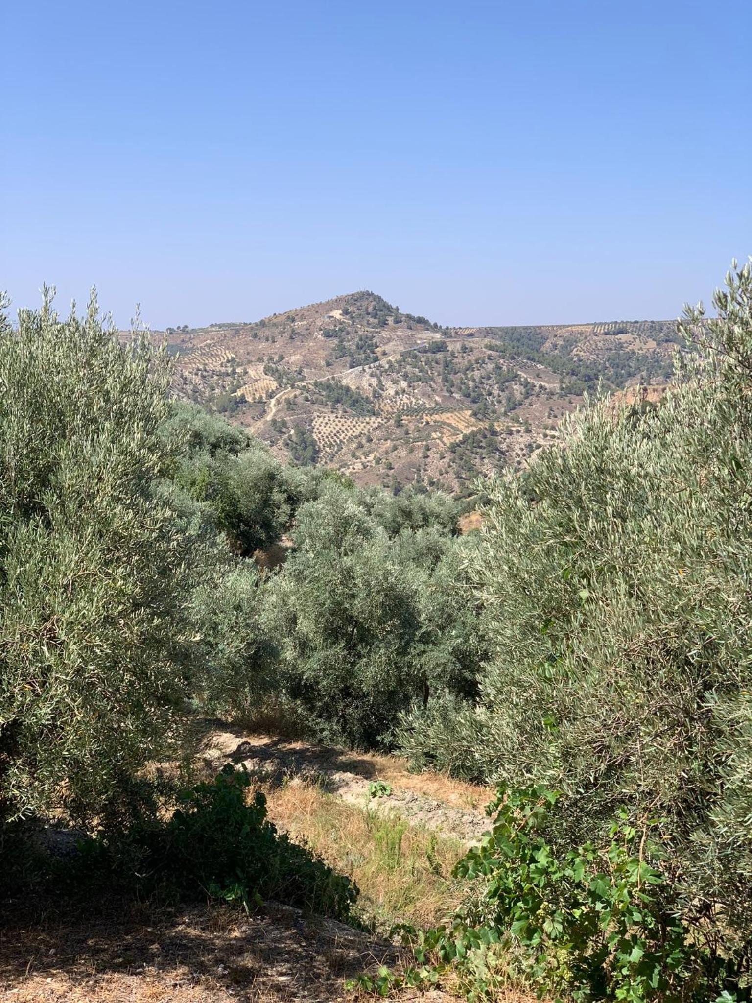 Casa Jaïra Sierra de Castril