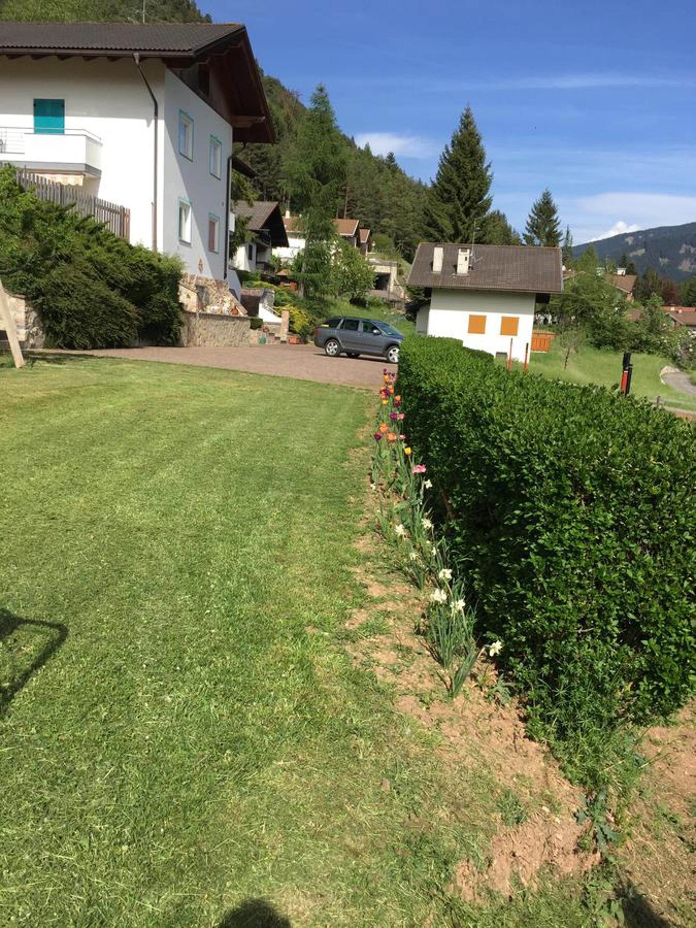 Photo 44