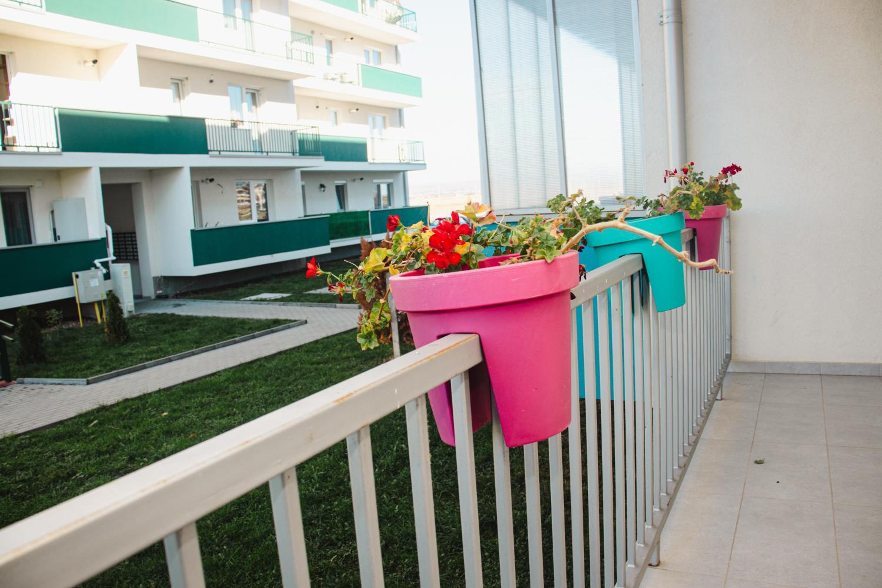 Apartament Rubin