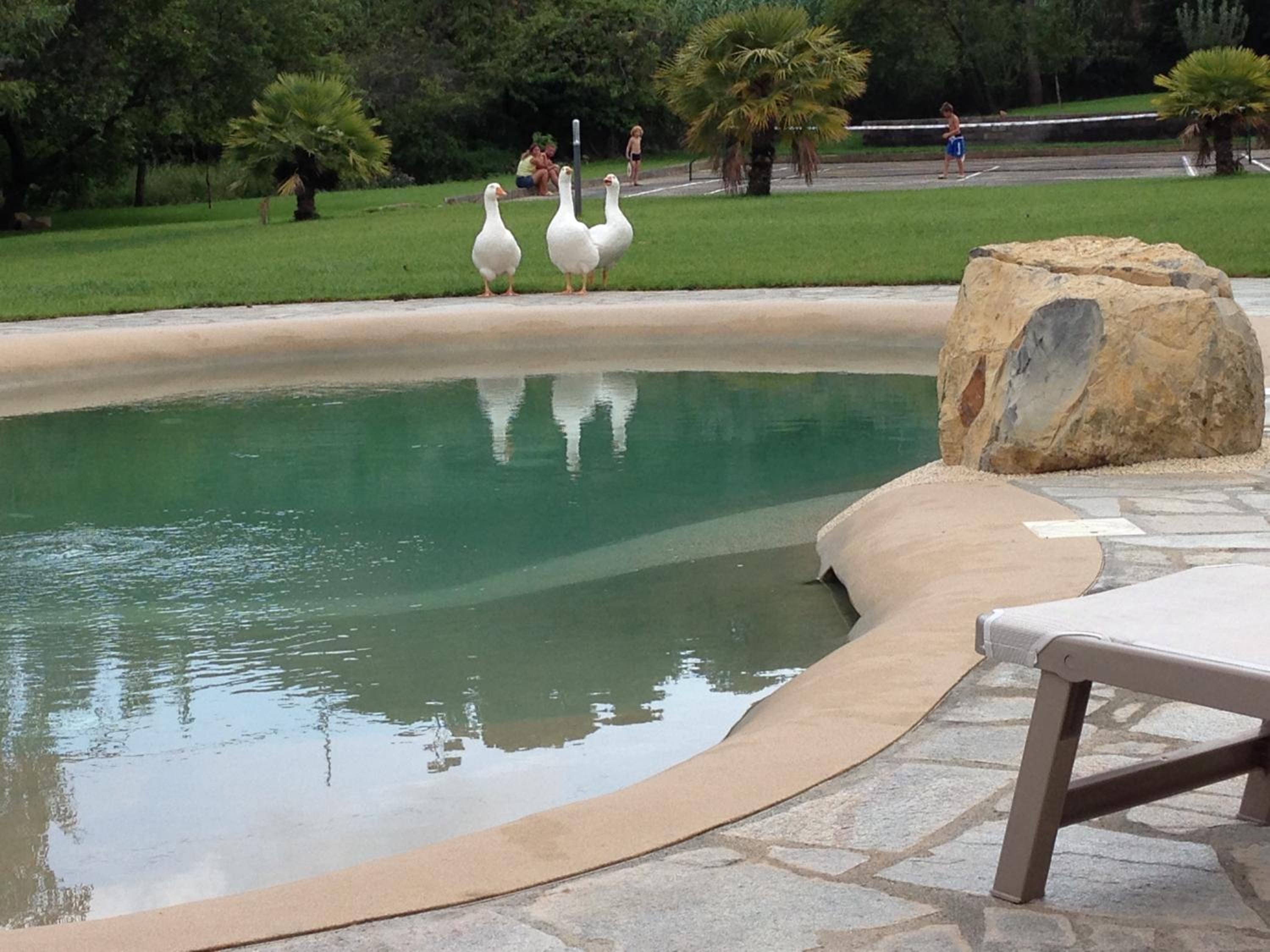 Agriturismo Ada Musso ss