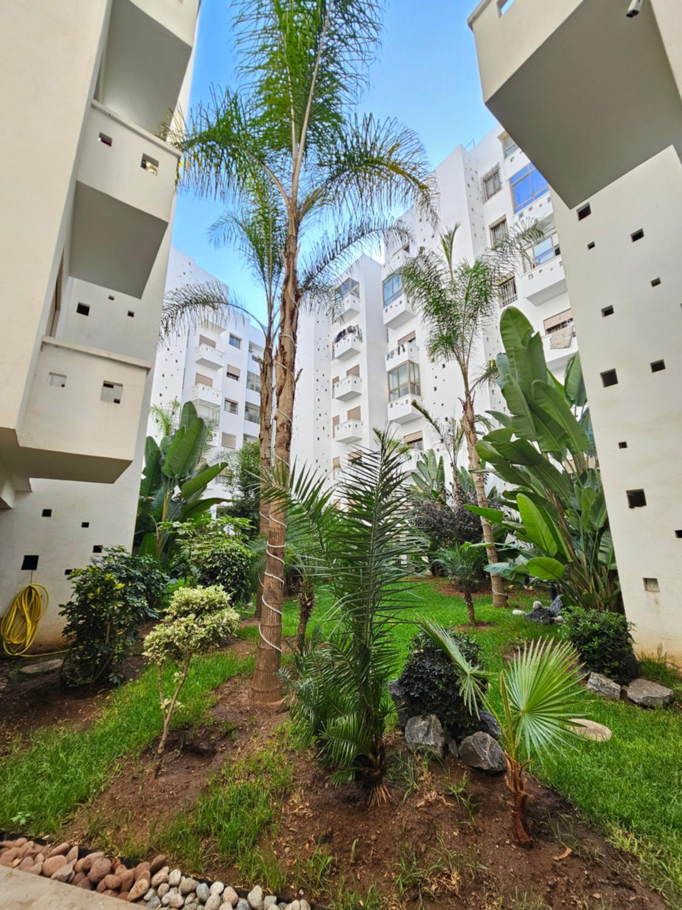 MIA Appartement N2 - Élégance, Confort et Sérénité view 5
