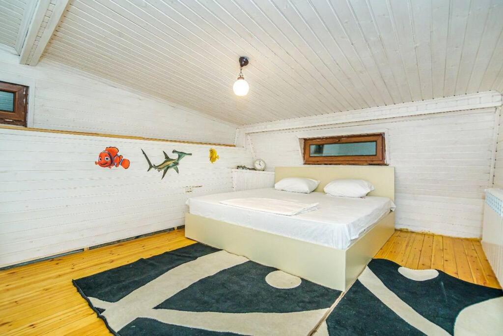 City Center Apartment