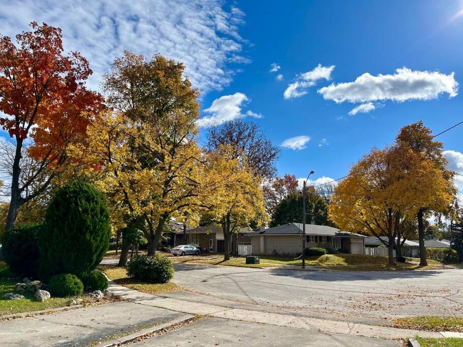 Entire Back Basement Apartment in Toronto