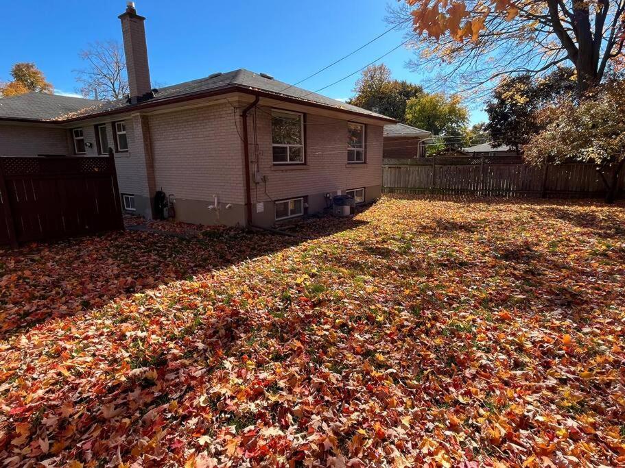 Entire Back Basement Apartment in Toronto
