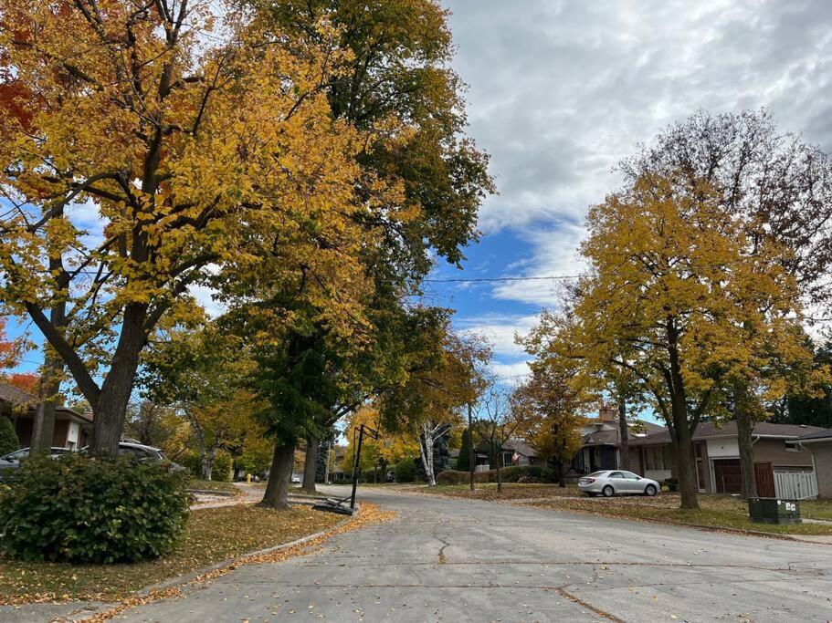 Entire Back Basement Apartment in Toronto