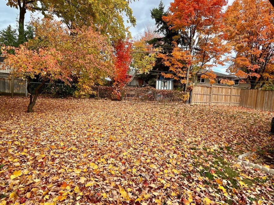 Entire Back Basement Apartment in Toronto
