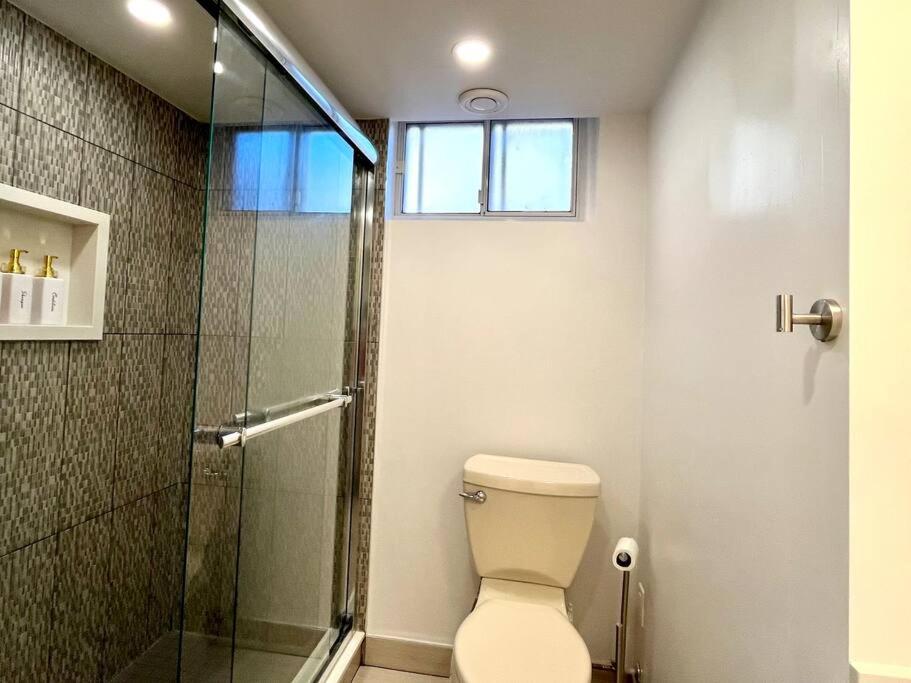 Entire Back Basement Apartment in Toronto