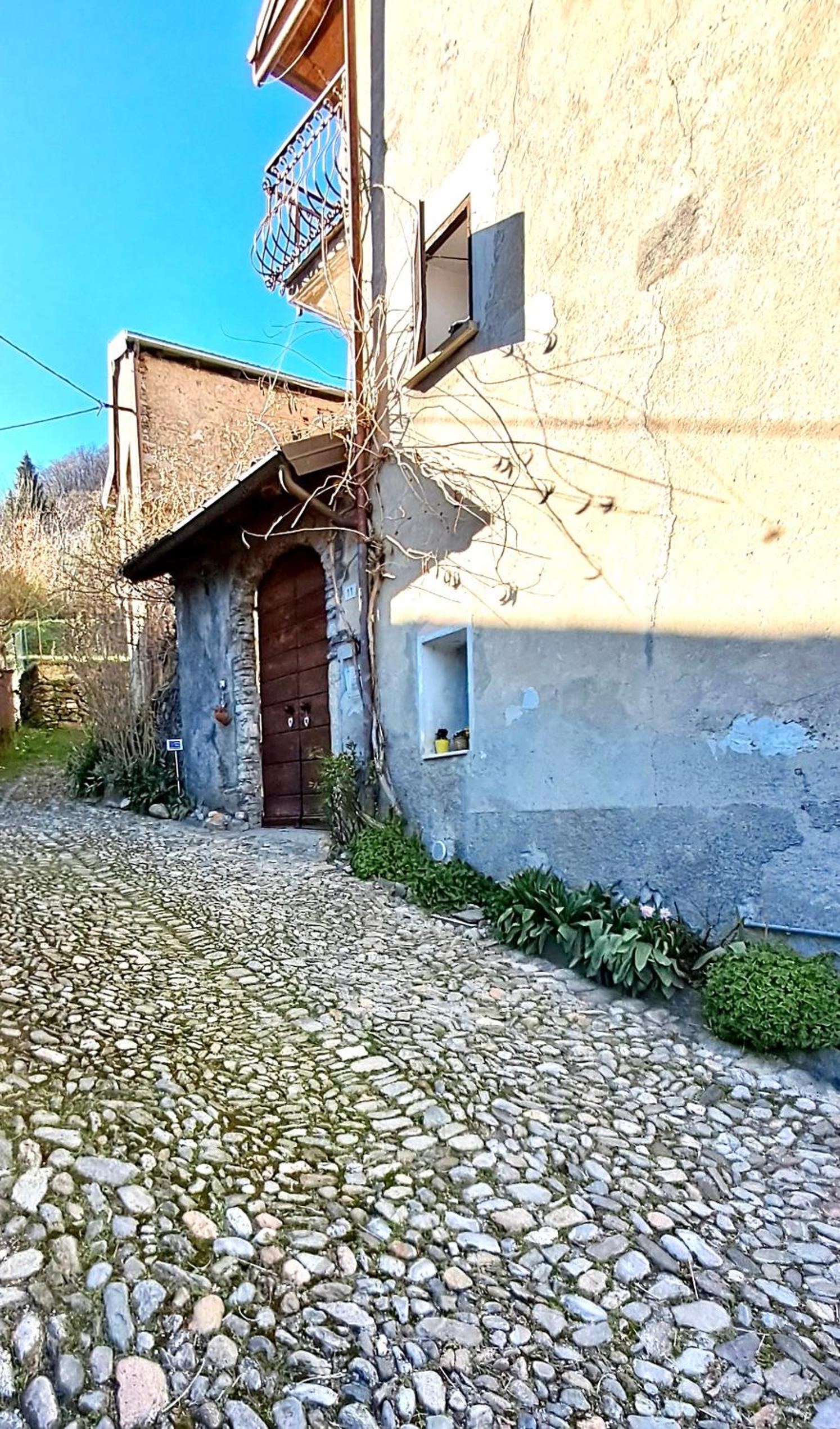Il GLICINE
