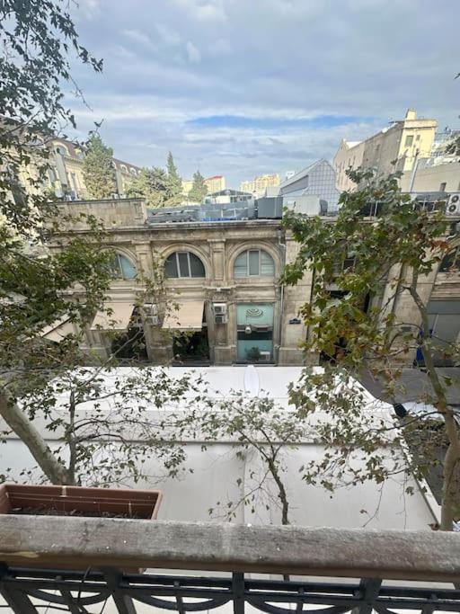 Cozy Stay in Central Baku