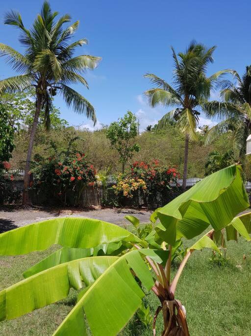 Gîte gwadamango T2 piscine, 150m plage, climatisé view 3