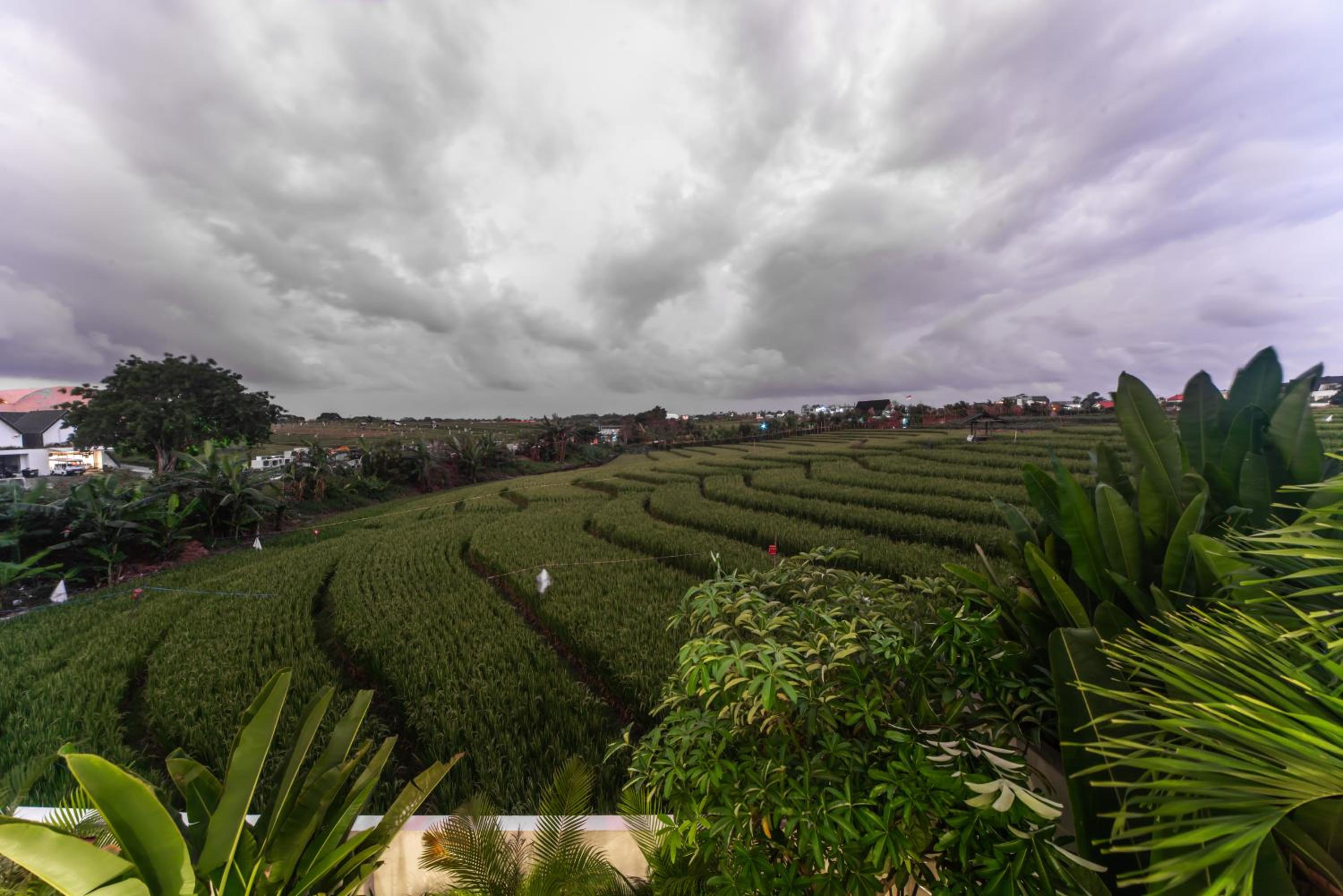 Benicia Villa Canggu
