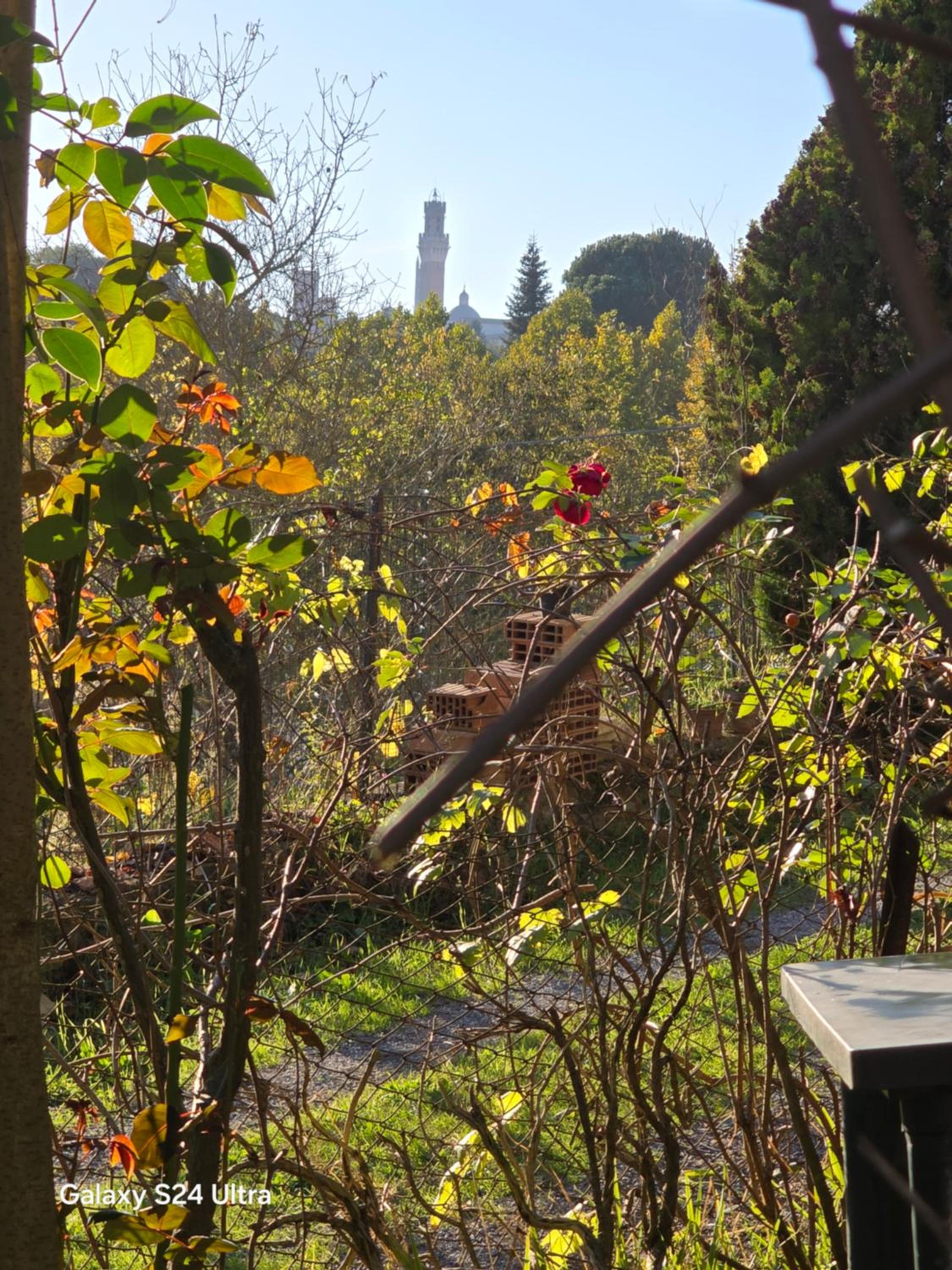 Podere Ponticini