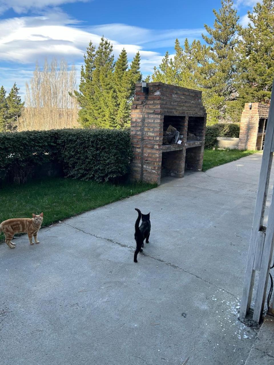 El Calafate Apart