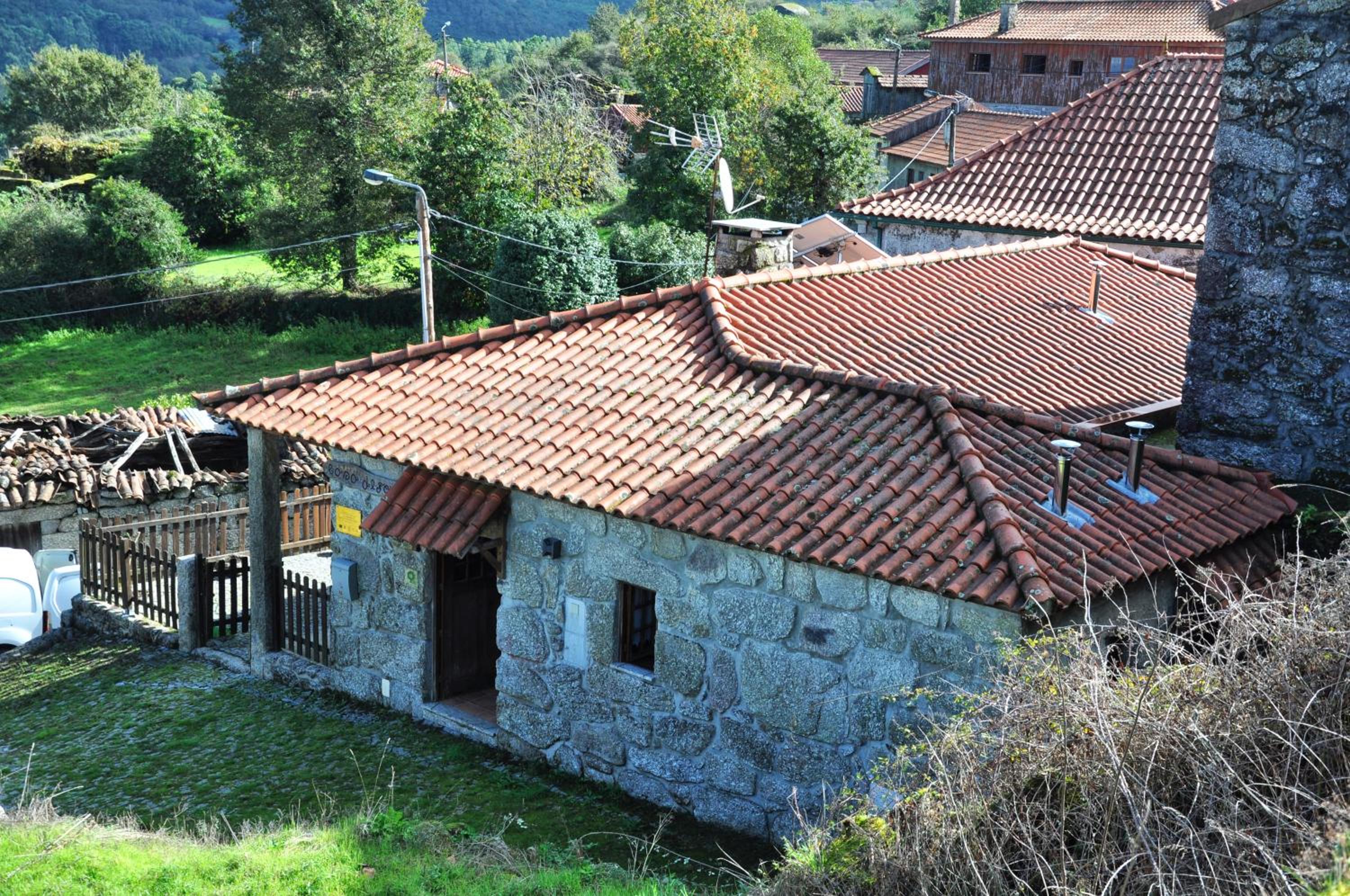 Photo 20